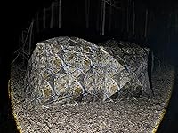 Review Image by Alexis Ackerman Alexis Ackerman