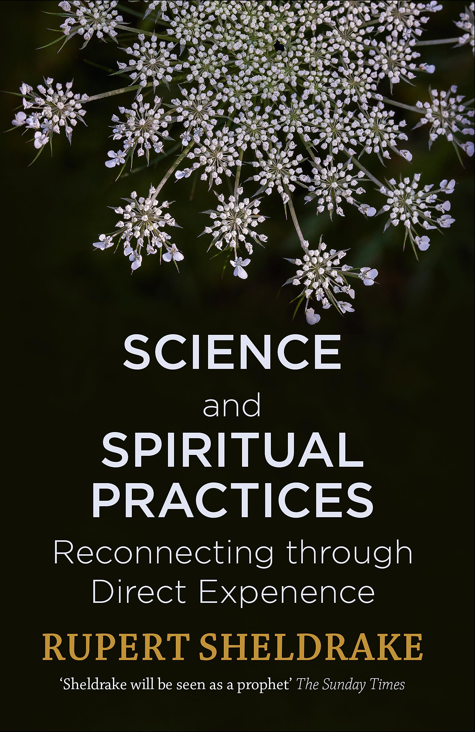 Science and Spiritual Practices: Transformative experiences and their effects.
