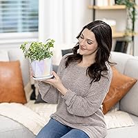 Vista 6 de Coco Andrea Macetas de cerámica para plantas de interior con drenaje y platillos, macetas blancas iridiscentes de 5 pulgadas para plantas