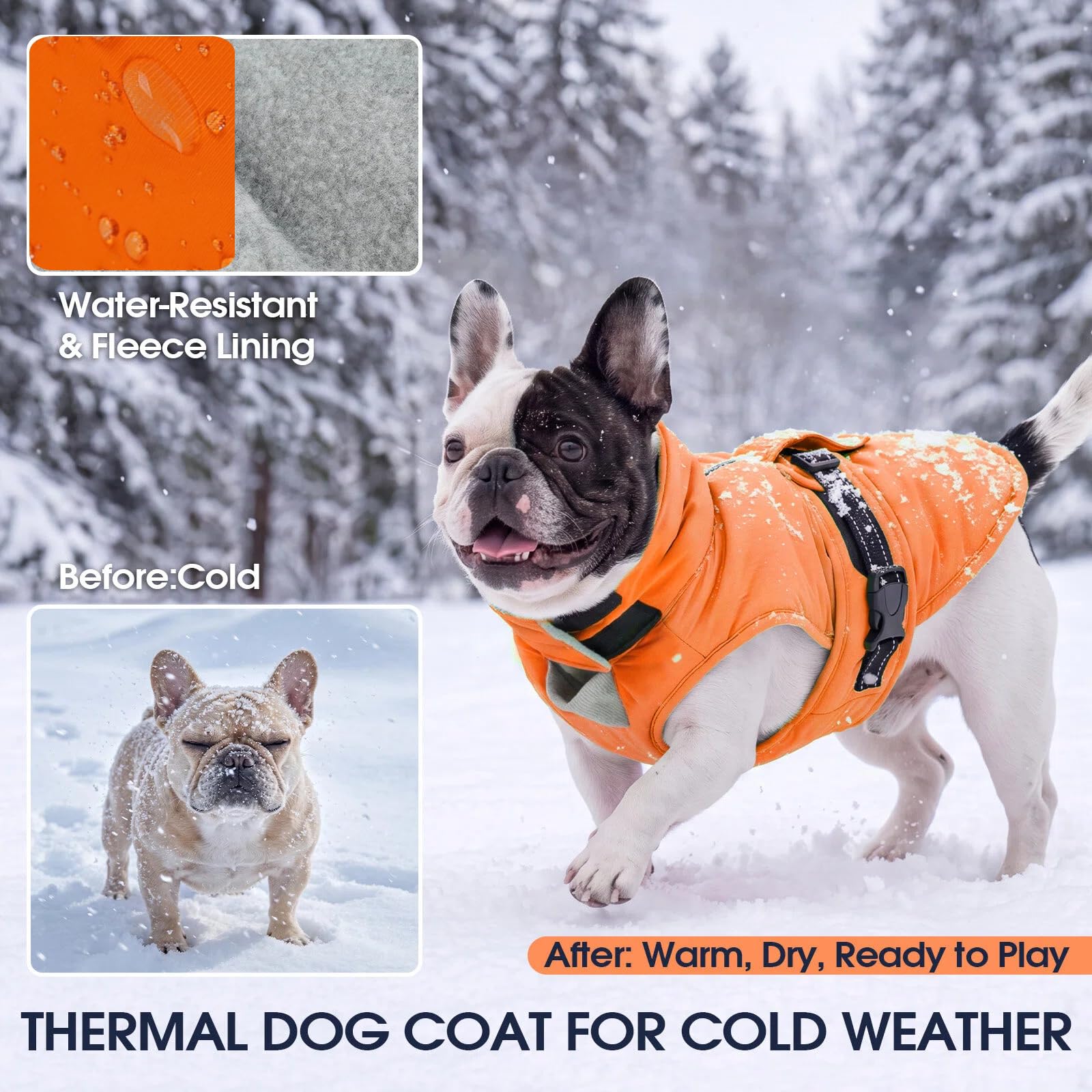 IECOii Manteau pour chien par temps froid, veste de neige réfléchissante, réglable et coupe-vent pour bouledogue français et corgi, gilet chaud imperméable avec doublure en polaire pour aventures en