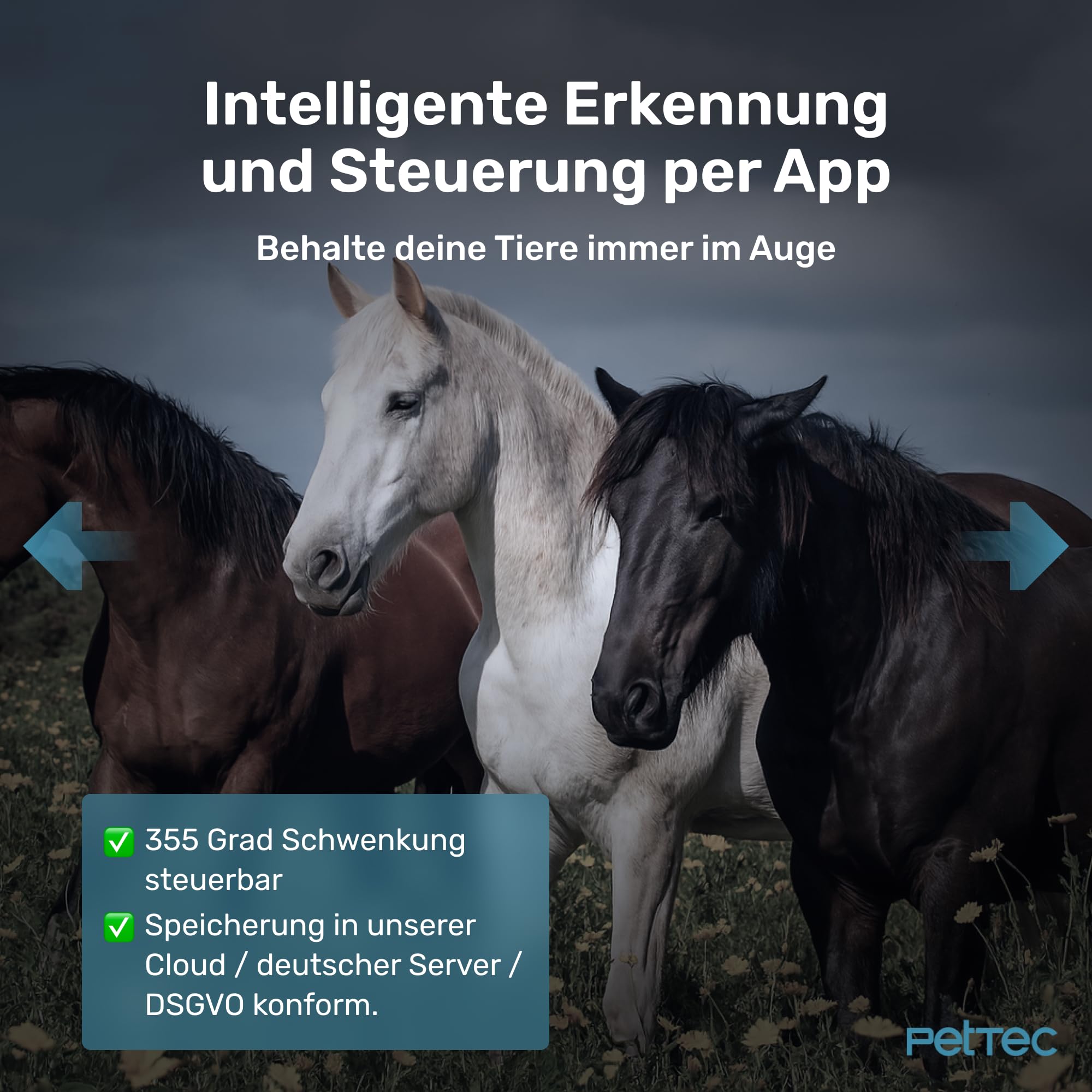 Pet Cam Free 4G - Telecamera per animali domestici