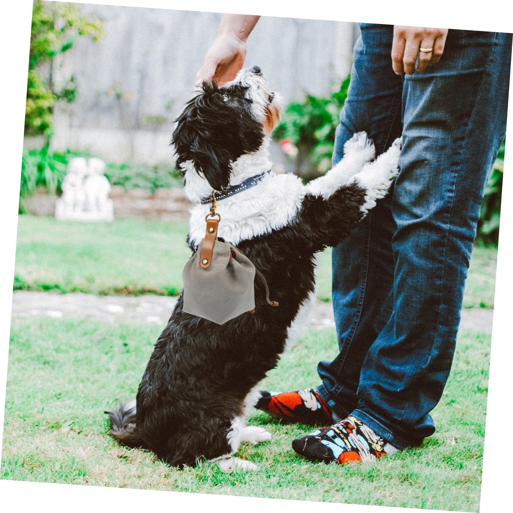 Beavorty 5stücke Portable Hundeleckerlitasche Mit Kordelzug Praktischer Snackbeutel Für Hundetraining Und Tragbare Futtertasche Mit Schnalle Für Outdoor-aktivitäten Für Leckerlis Und