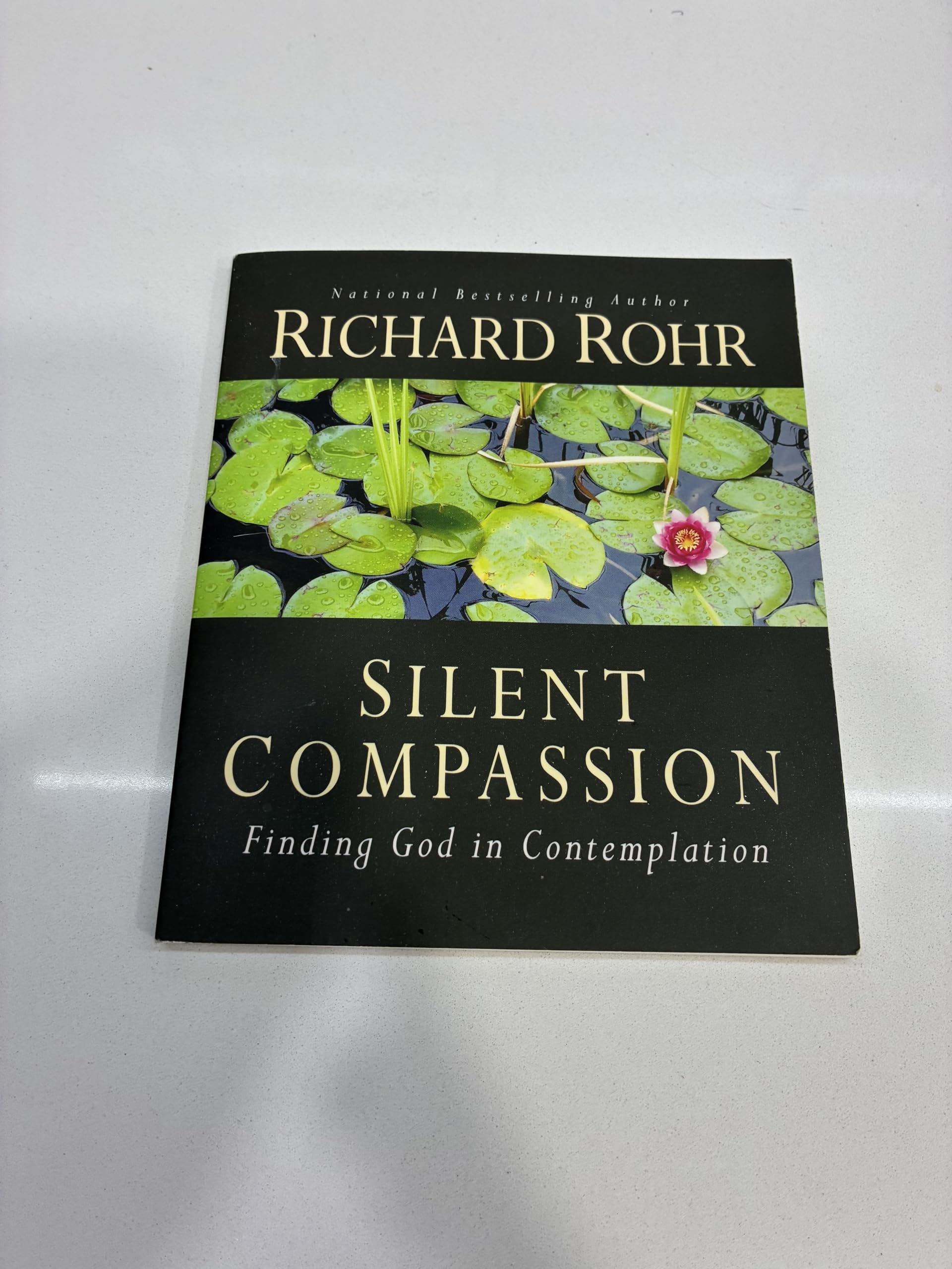 Silent Compassion: Finding God in Contemplation Paperback – January 22, 2014