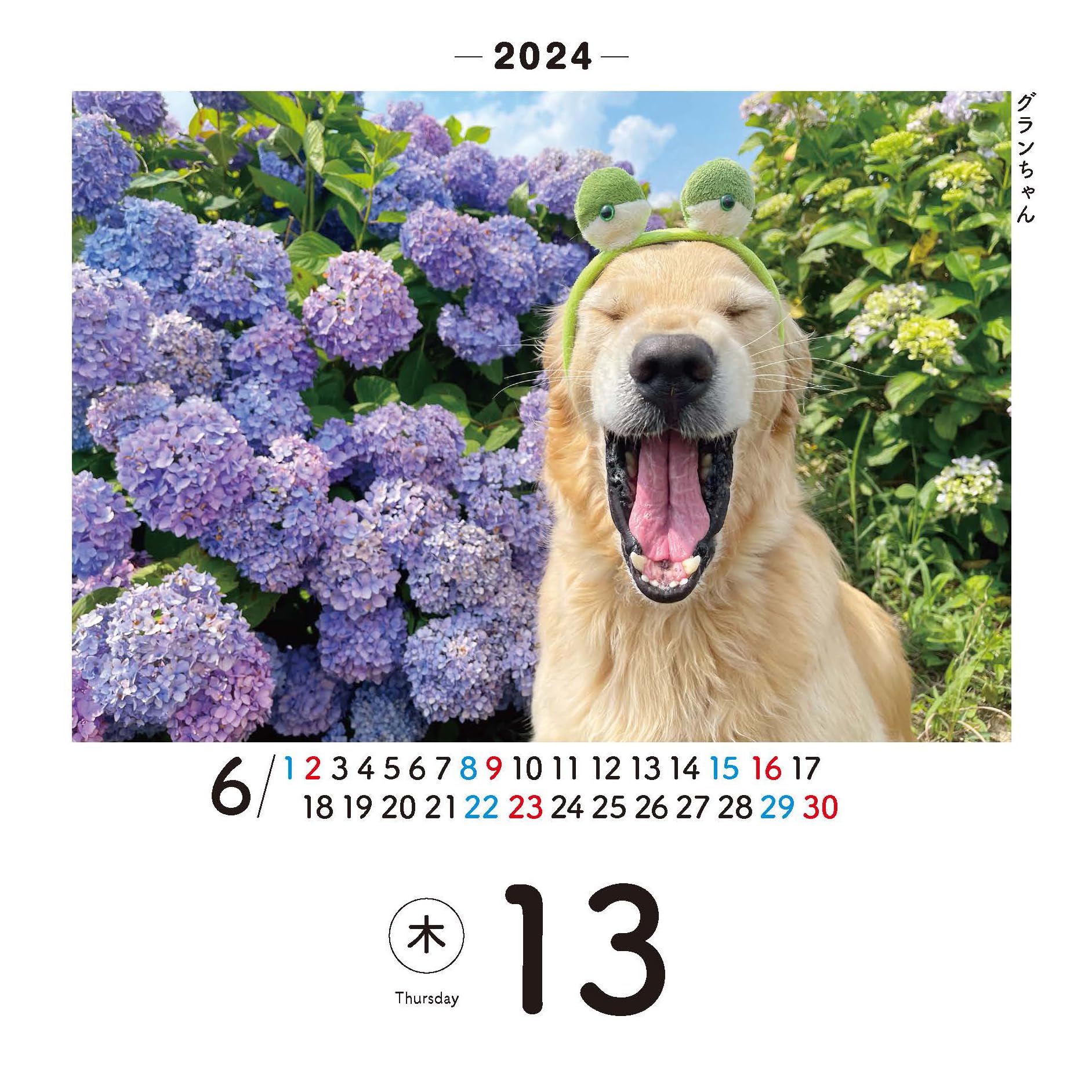 Amazon.co.jp: 日めくりワンコ！2024年(卓上日めくりカレンダー犬版