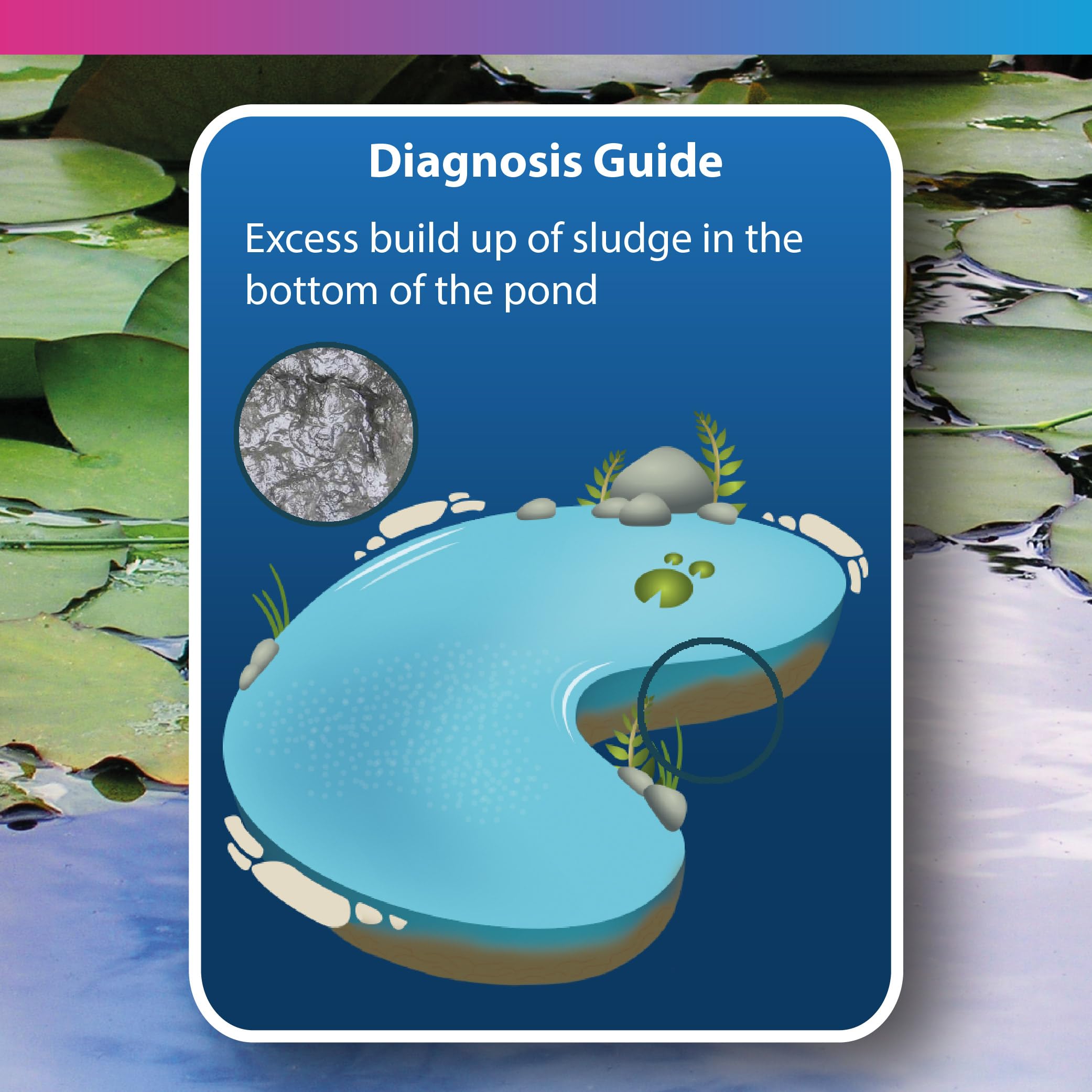 NT Labs Pond Sludgeclear, Pond Sludge Remover, Digests Organic Material in Pond Sludge - Image 4