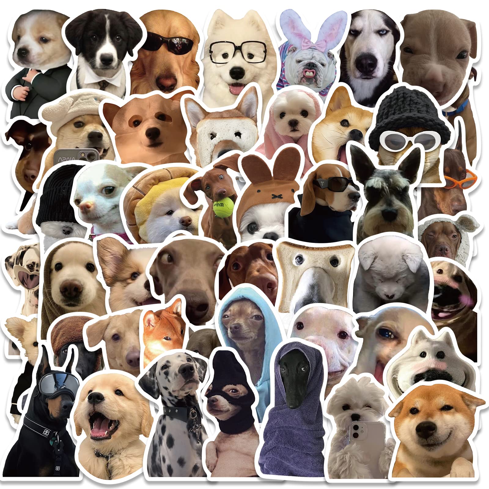 50pcs Funny Animals Dogs Meme Stickers for Laptop Water Bottle,Vinyl Waterproof Graffiti Decals for Luggage Guitar Phone,Adults Teens Gift