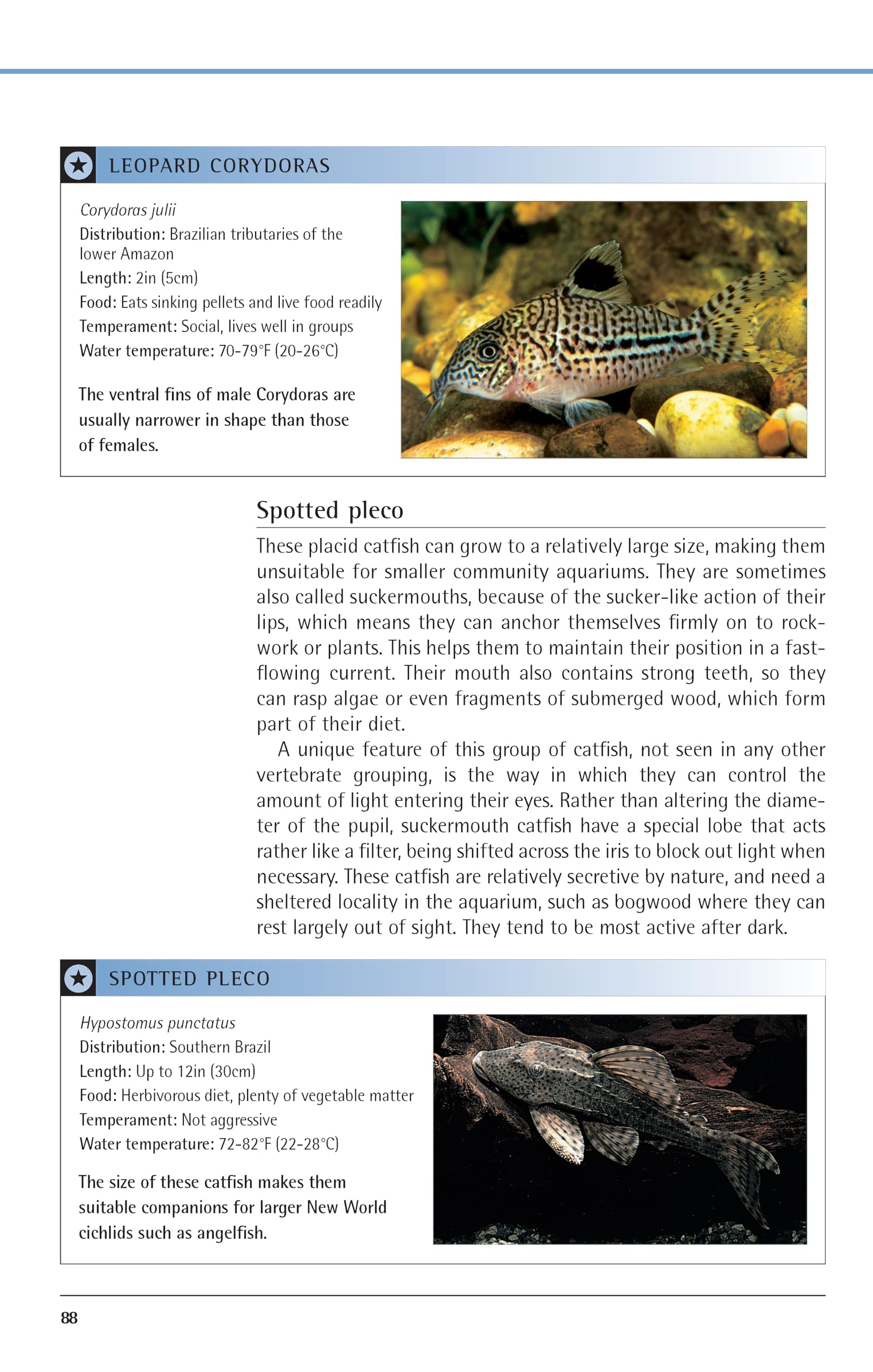Freshwater Aquariums: Basic Aquarium Setup and Maintenance (Fish Keeping Made Easy)