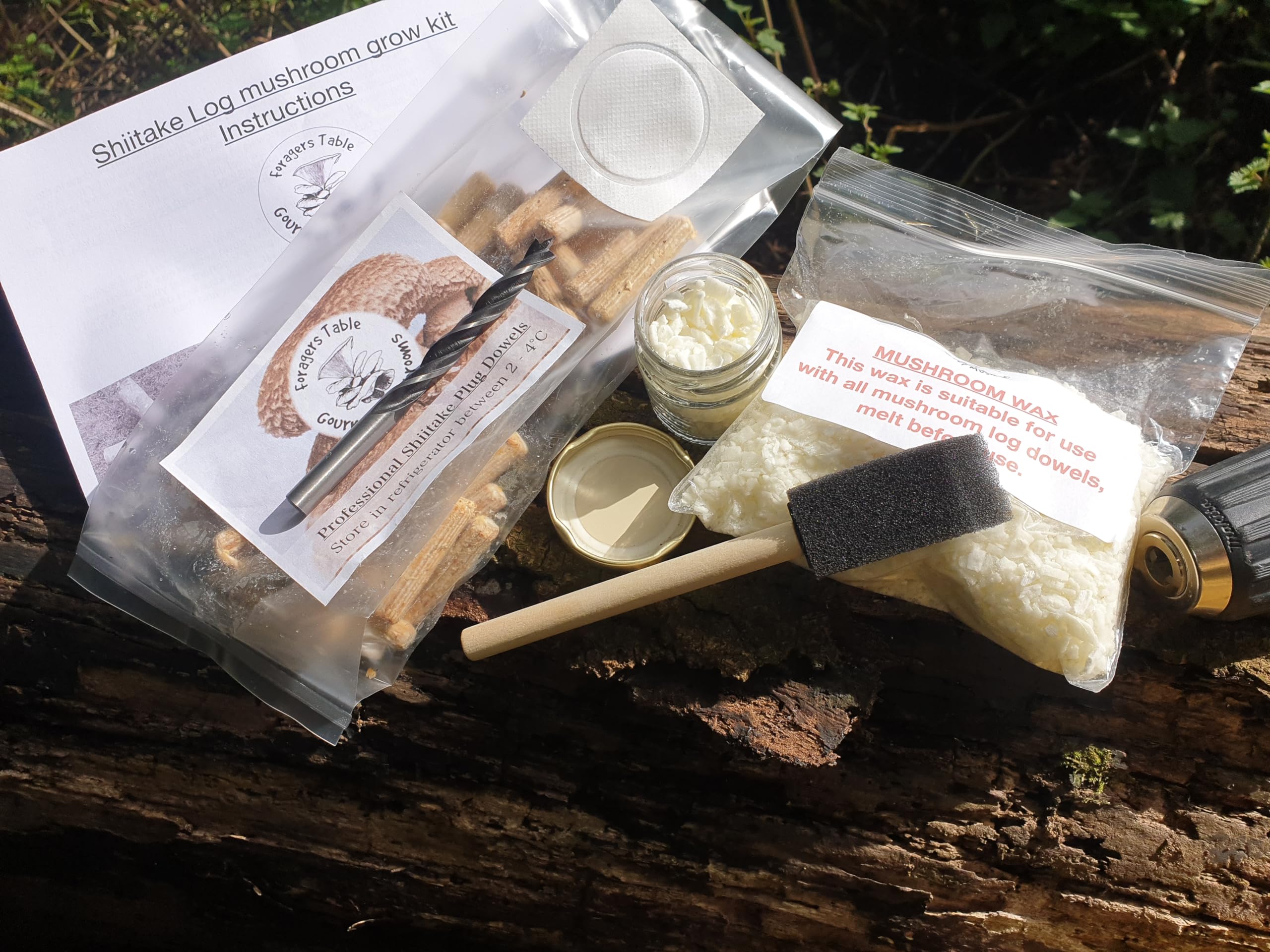 Mushroom Grow Kit Shiitake Log Dowel Kit - for Logs Gift Set (Lentinula edodes) Easy to use, Long Lasting and Ideal Gift for Your Garden, Foragers Table