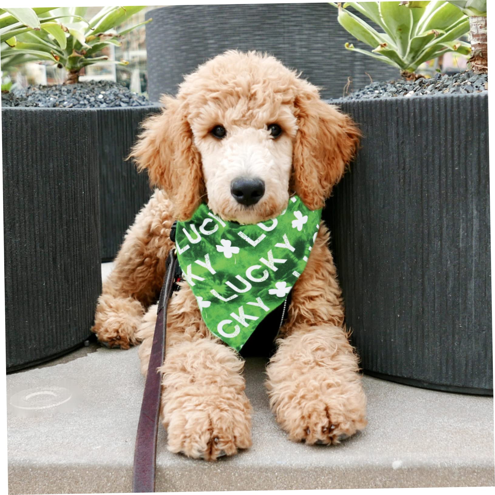 INOOMP 12pièces Bandana Créatif pour Chien Foulard pour Animaux De Compagnie pour Fêtes Sorties Et Photos Design Stylé pour Look Adorable