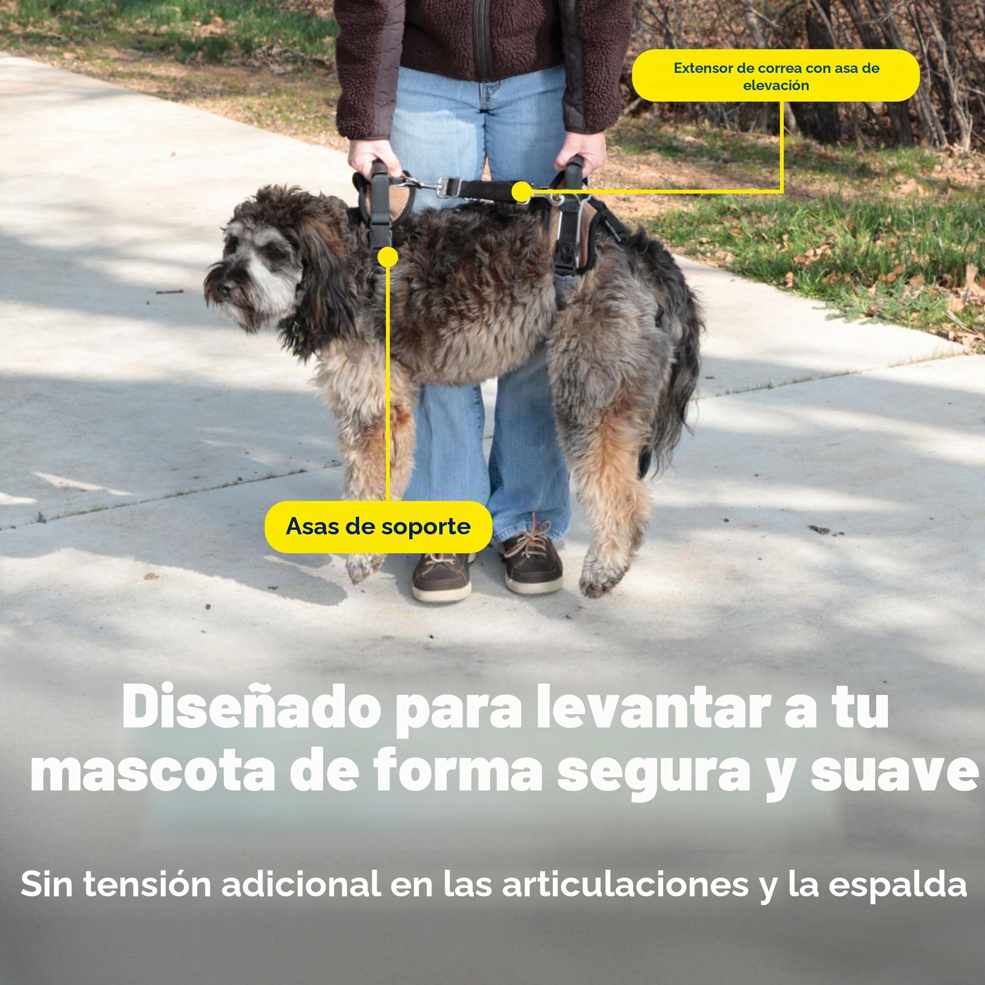 PetSafe CareLift Arnés de Apoyo, Ayuda de Levantamiento de Cuerpo Completo con asa y Correa para el Hombro, Ideal para la Movilidad de Mascotas y Perros Mayores para ayudarlos, Material cómodo,