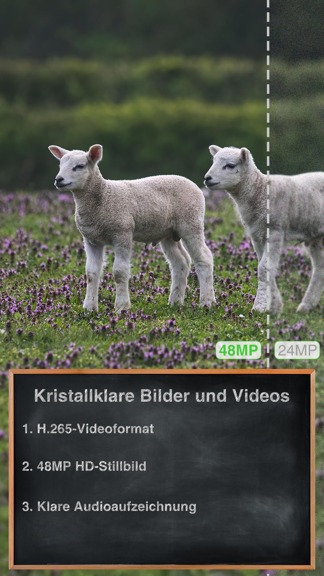 GardePro X50 Pro Max 4G LTE Wildkamera mit Live-Streaming, Wiederaufladbare 8000mAh Akku, integrierte SD Karte, 48MP 1296P, X50PLMB Wildtierkamera mit bewegungsmelder nachtsicht, Handyübertragung