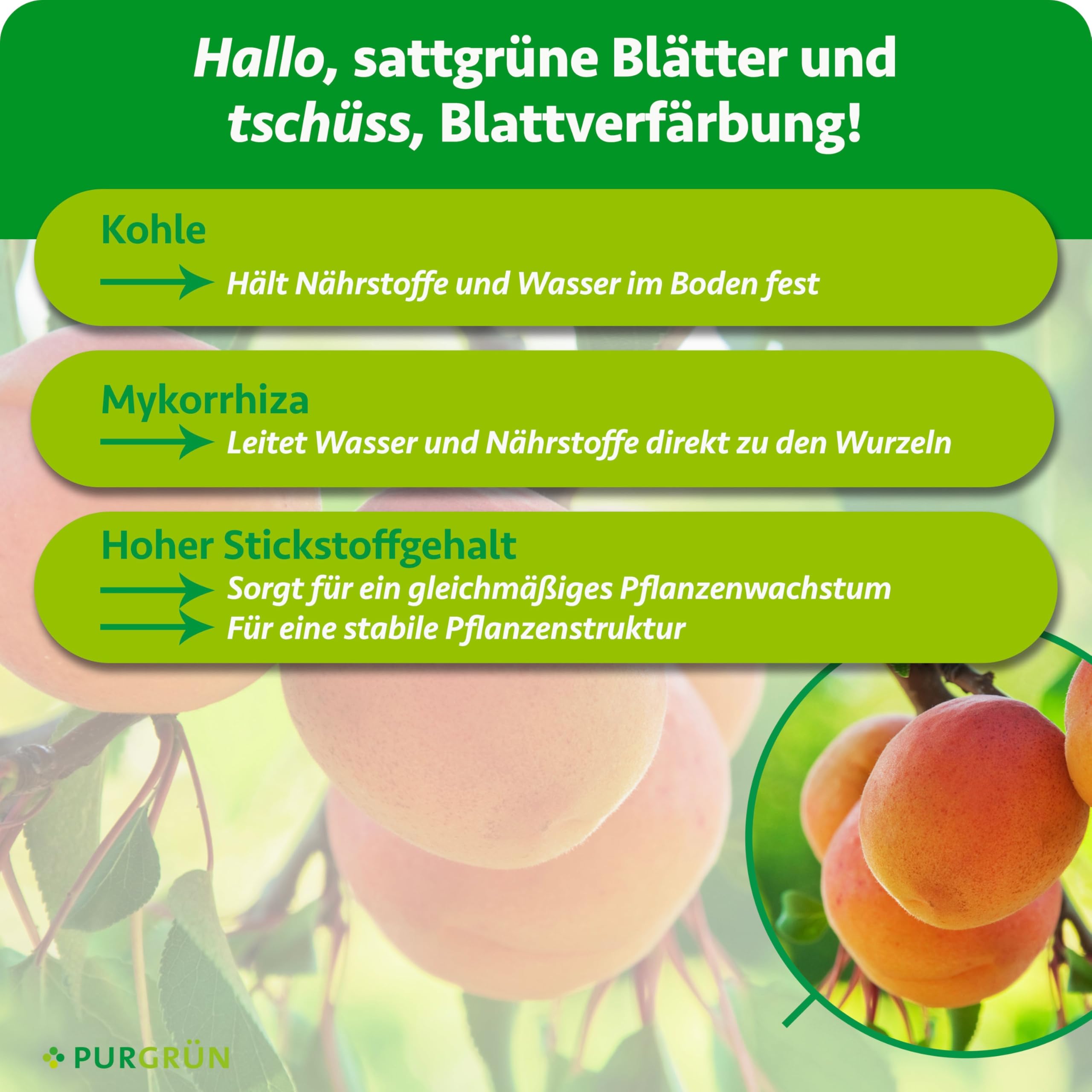 Bio-Aprikosenbaum-Dünger 1 kg – Organisch-mineralische Rezeptur – Feinkörniges Krümelgranulat – NPK 6+4+5 – Mit Magnesium für süße Aprikosen – Verbessert die Bodenqualität