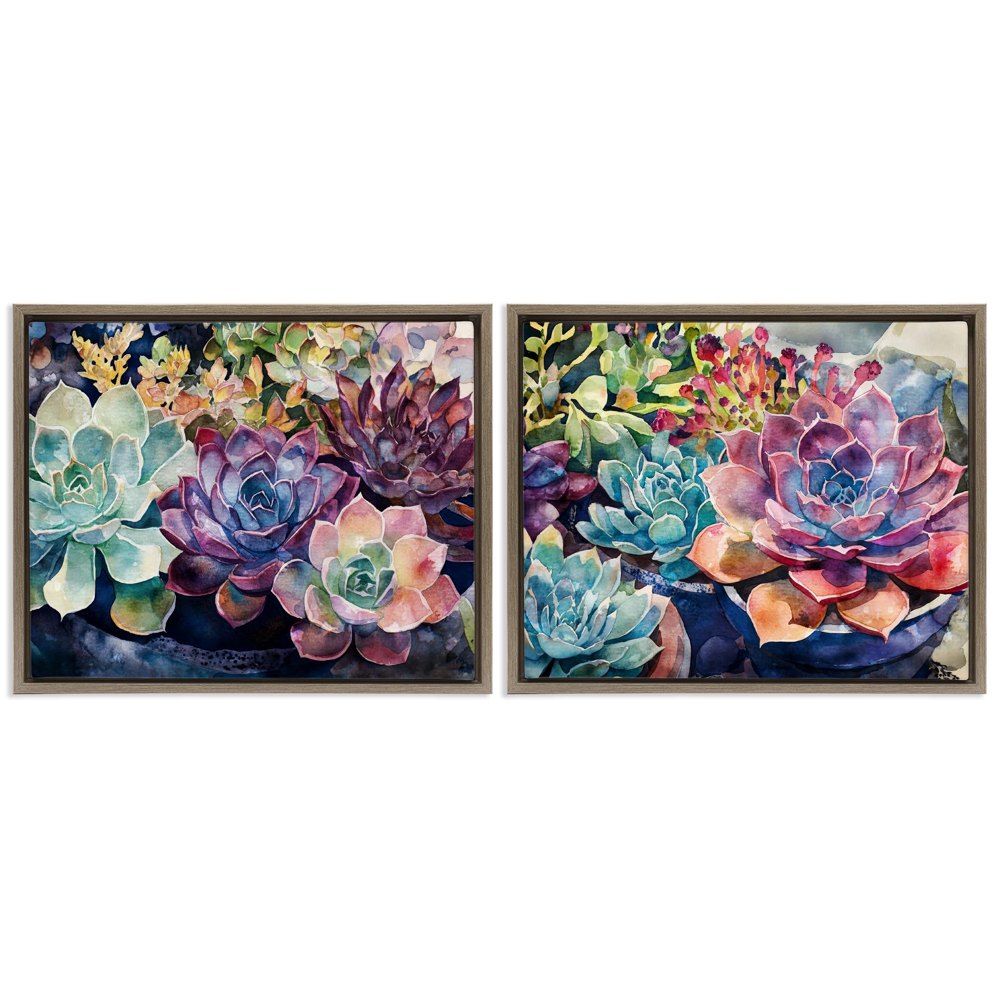 Stupell Industries Montalcino Elm (Textured) Sunny Watercolor Succulents, 24 X 30 Inch Canvas In Floater Frame Set