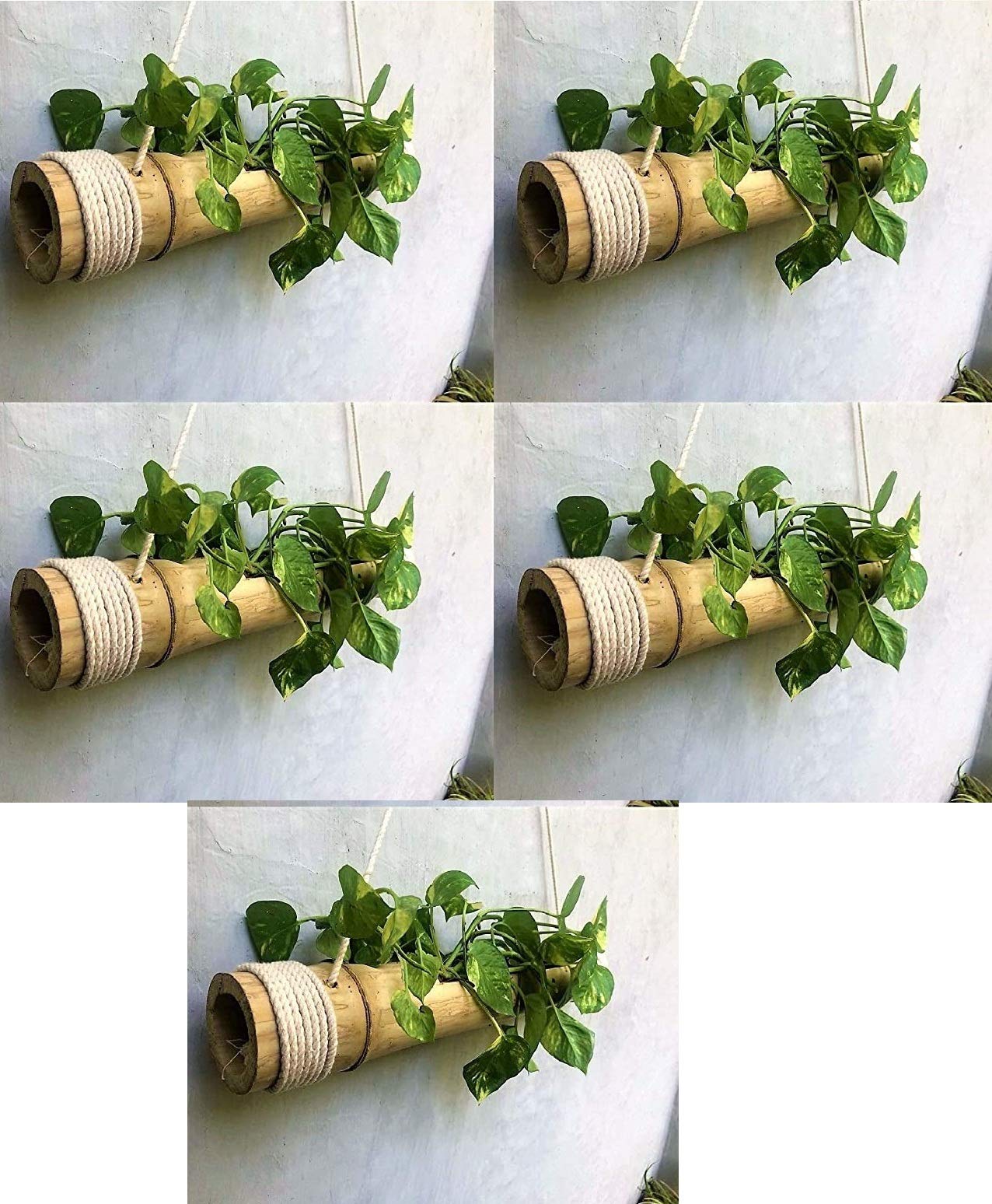 COIR GARDEN Bamboo Planter, (40-55 cm, 5 Pieces, Brown) (B07VC8HBF3) Amazon Price History, Amazon Price Tracker
