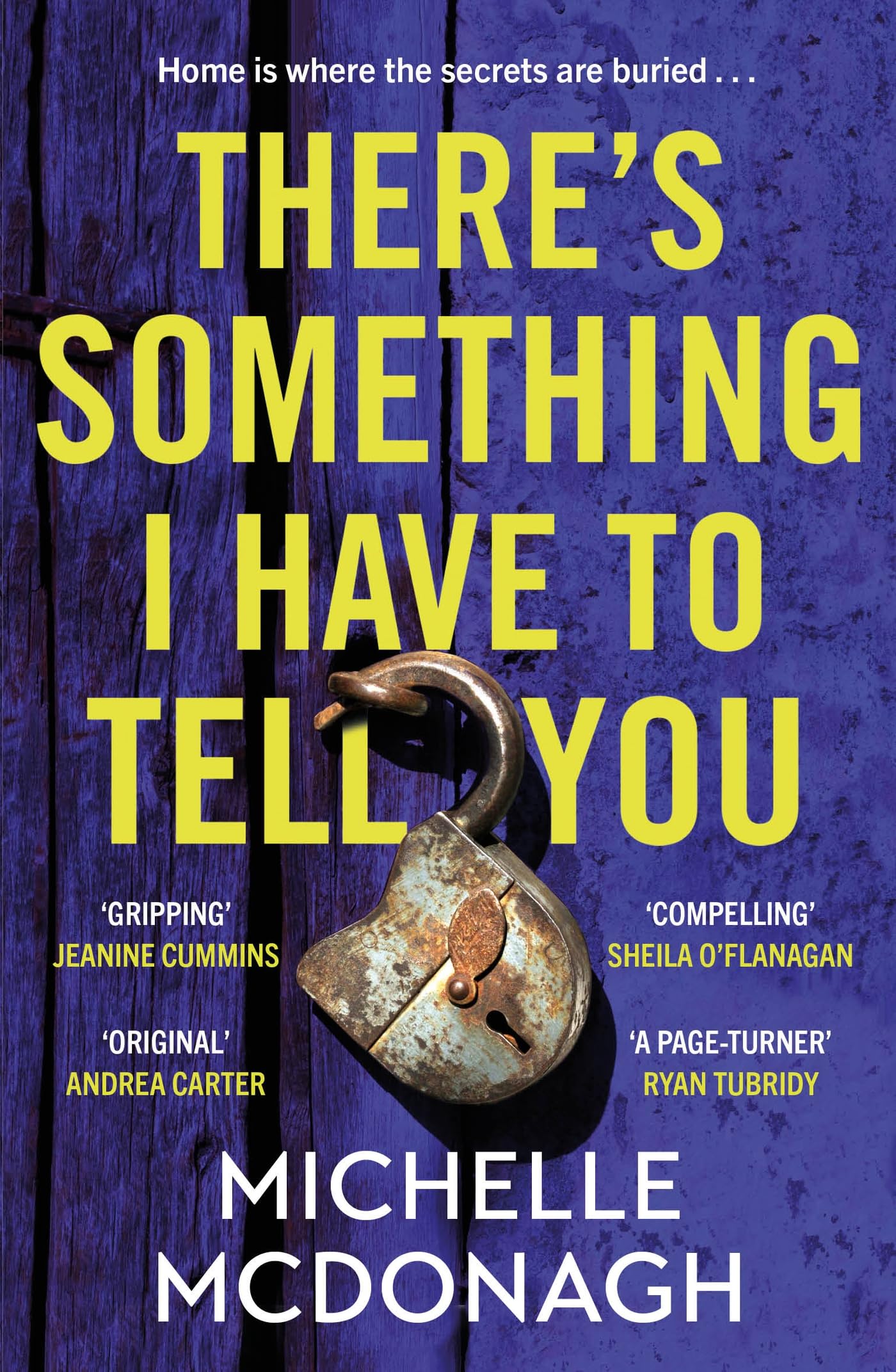 There's Something I Have to Tell You by Michelle McDonagh - 9781399716437