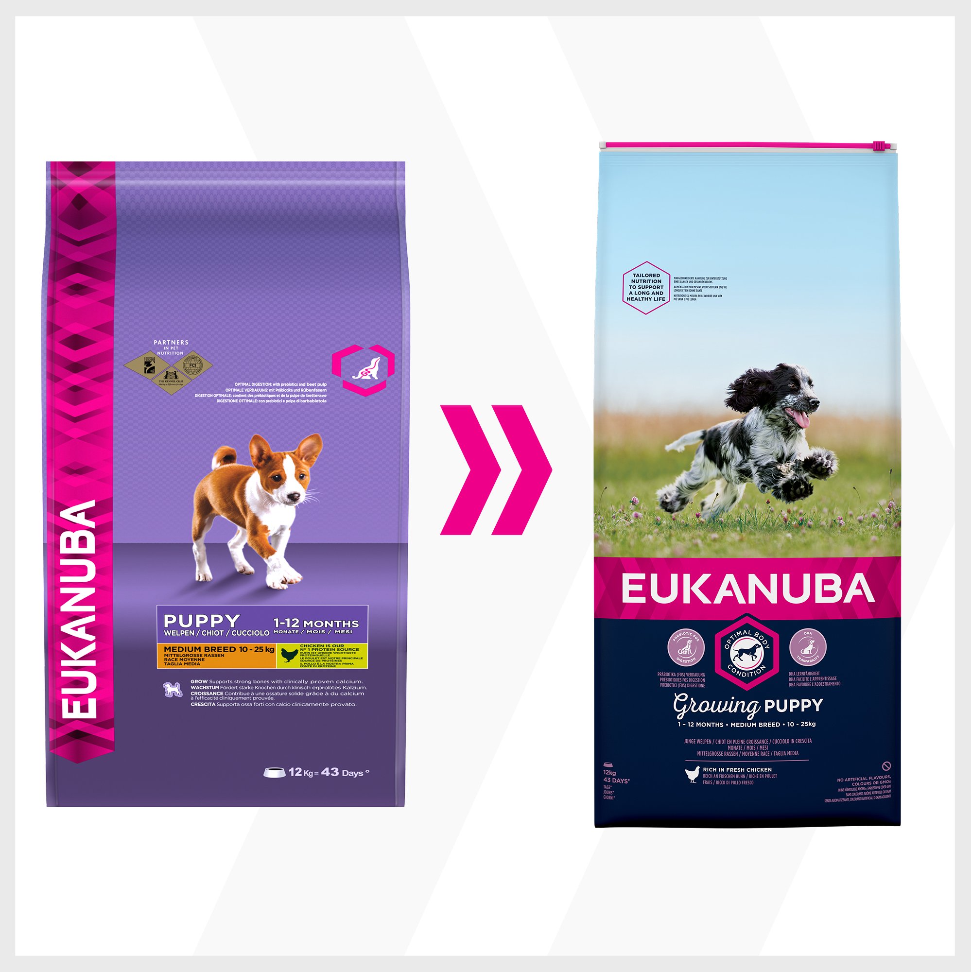 Eukanuba Puppy Welpenfutter für mittelgroße Rassen – Ausgewogenes Trockenfutter mit verbesserter, neuer Rezeptur für Welpen im Alter von 1-12 Monaten in der Geschmacksrichtung Huhn – 1 x 12kg Beutel