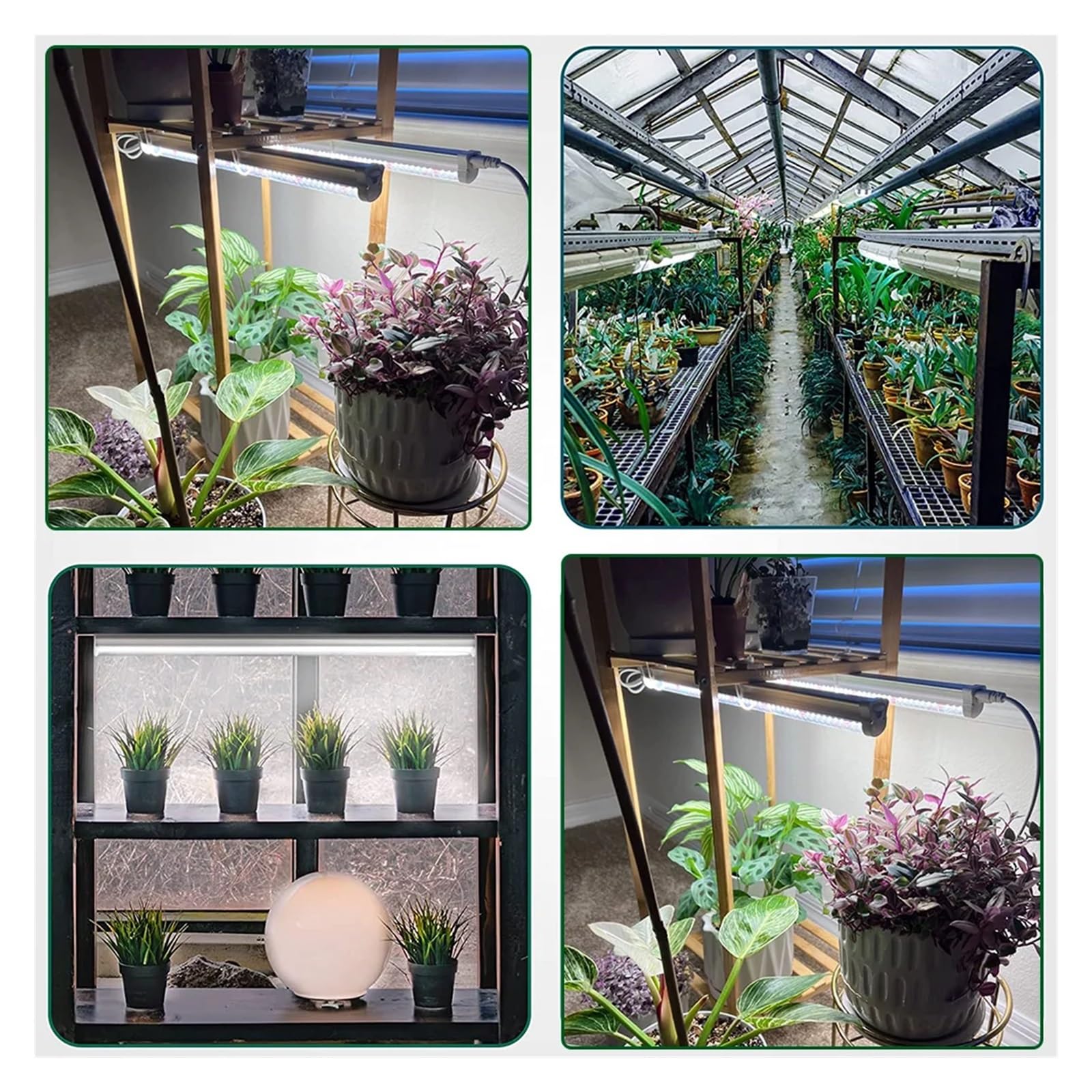 51LED T5 luces de cultivo rojo blanco espectro completo plantas alto PPFD tiras luz, semillas invernadero expandibles Phyto lámpara enchufe red Iluminador hortícola(1 to 4)