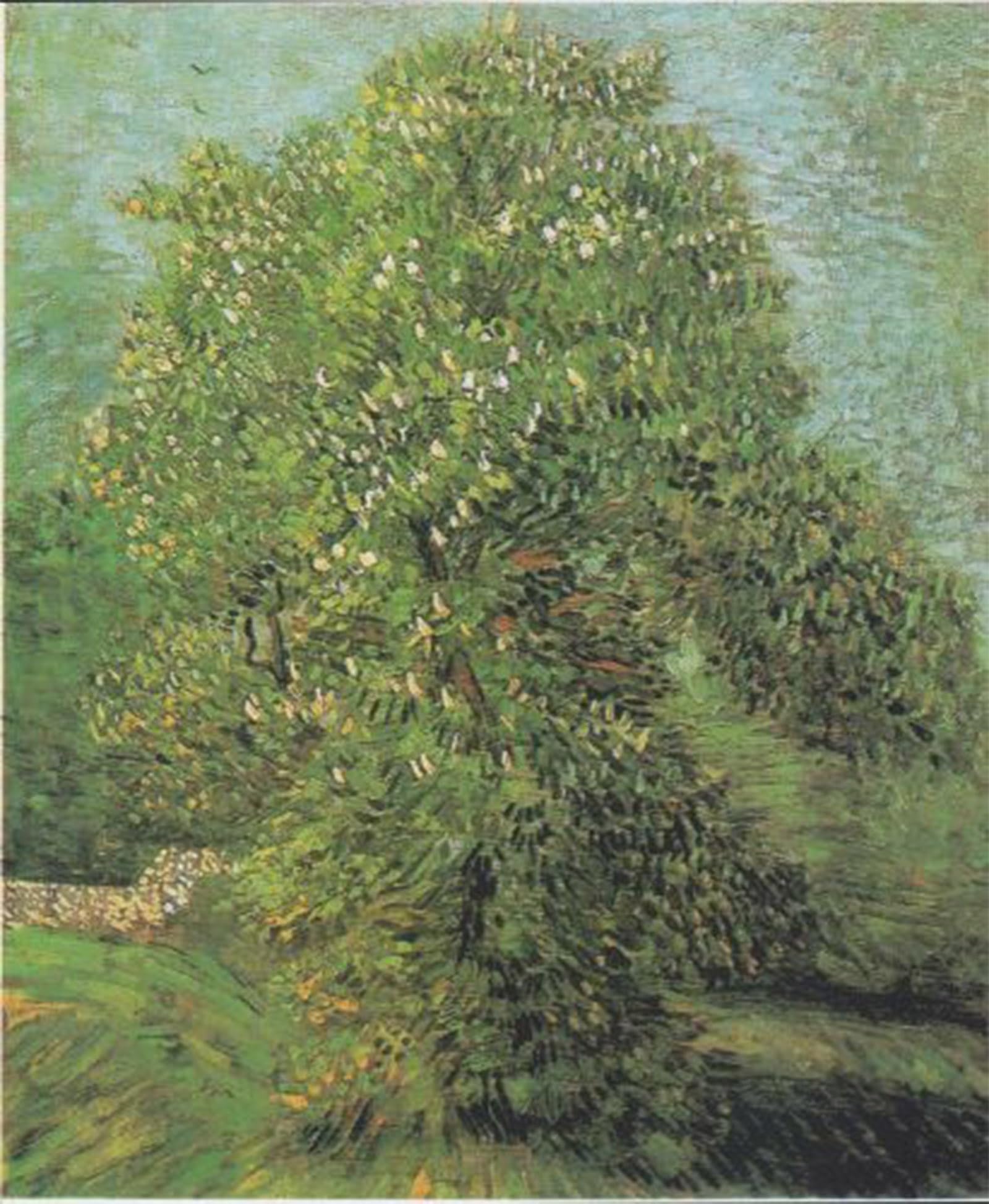 Tableaux peinture sur toile Van Gogh déco murale chambre 60x90cm