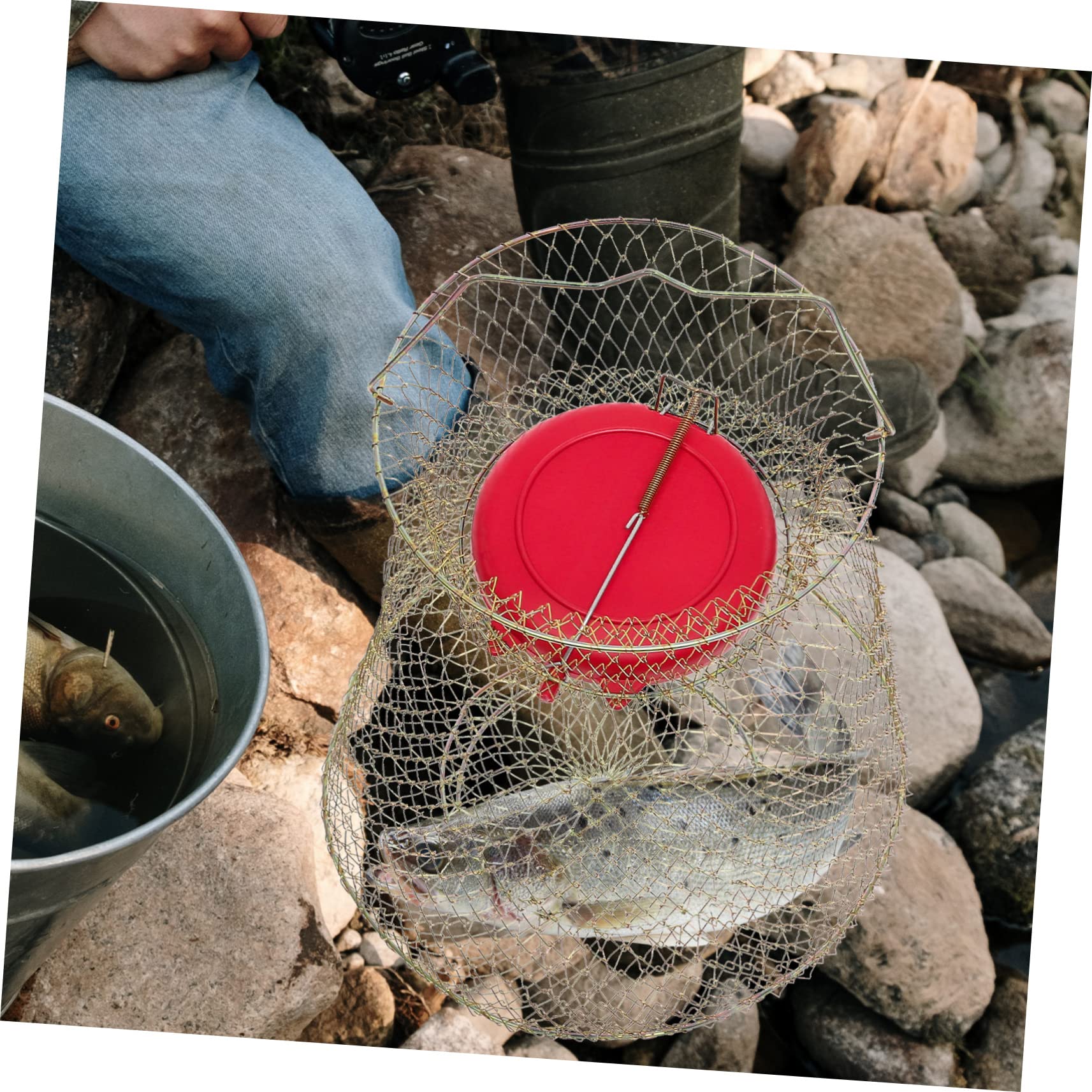 Cestino da Pesca per Pescare e Conservare Pesci in Ferro Resistente All'usura con Ciotola Galleggiante, Nassa Portatile su Terraferma