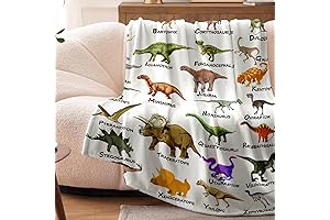350GSM Dinosaur Blanket for Boys