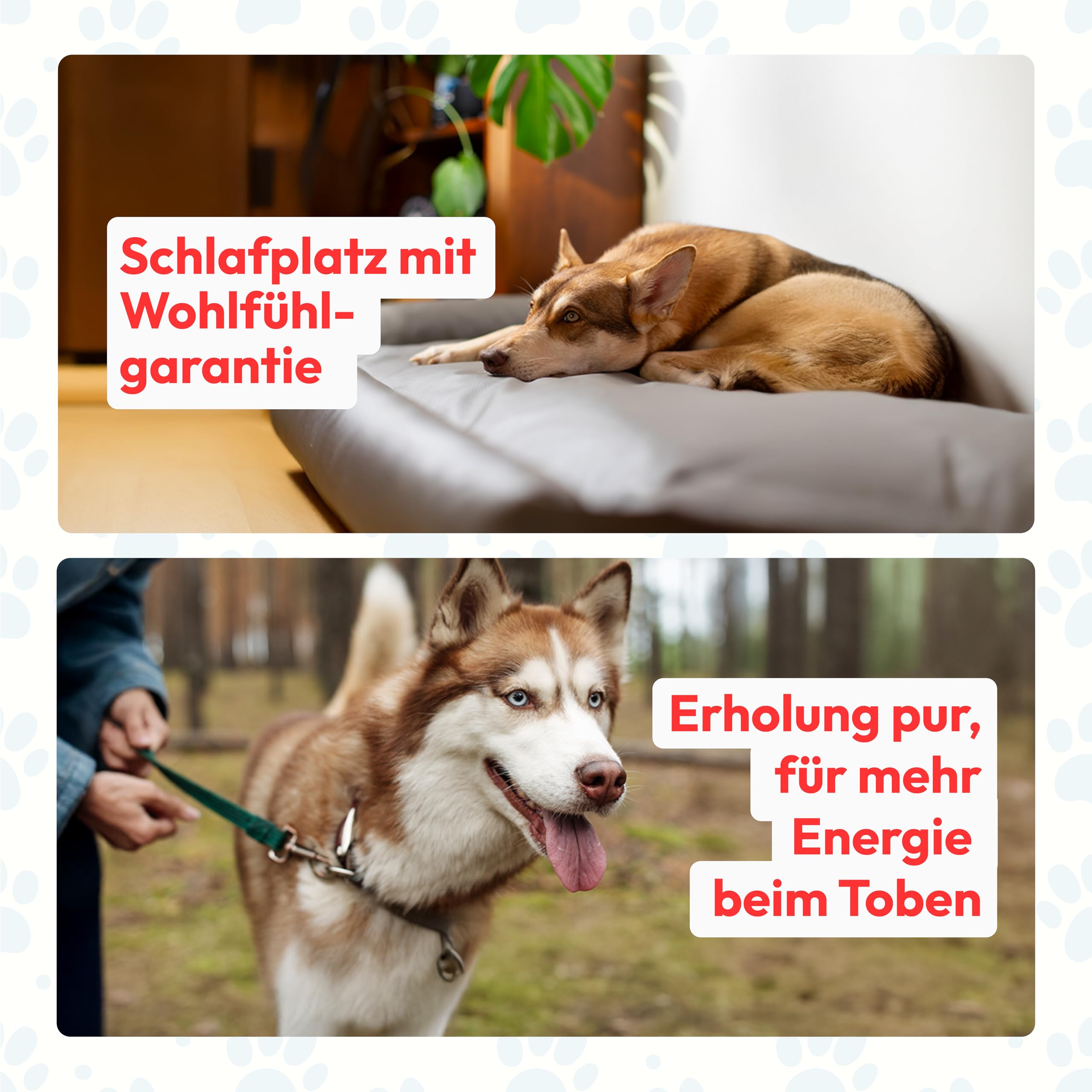 Hundebett Starter aus Kunstleder, Hundekissen, Pflegeleicht, 110 x 80 cm, braun