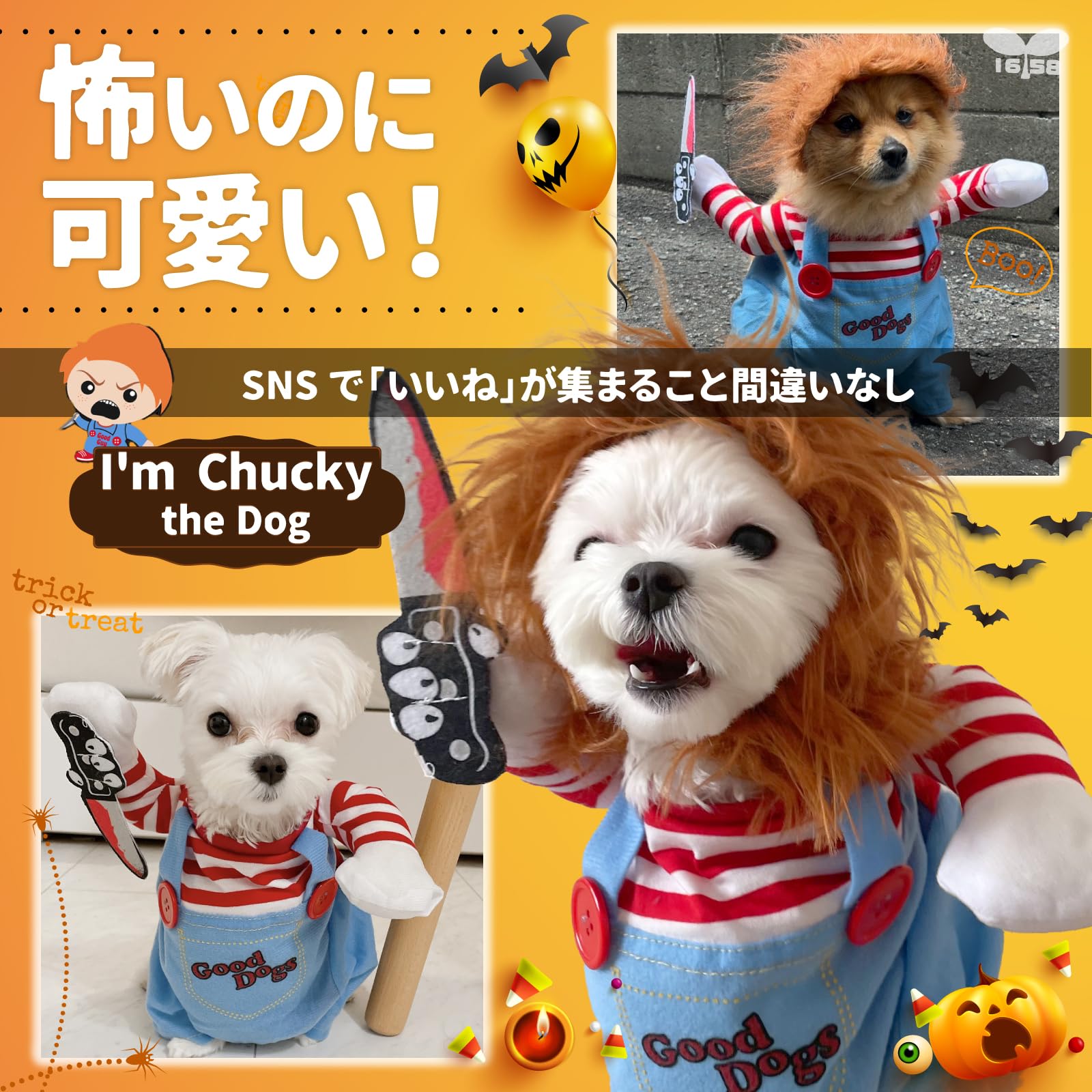 Amazon | IROKOHA チャッキー コスプレ 犬 猫 ハロウィン ペット用衣装