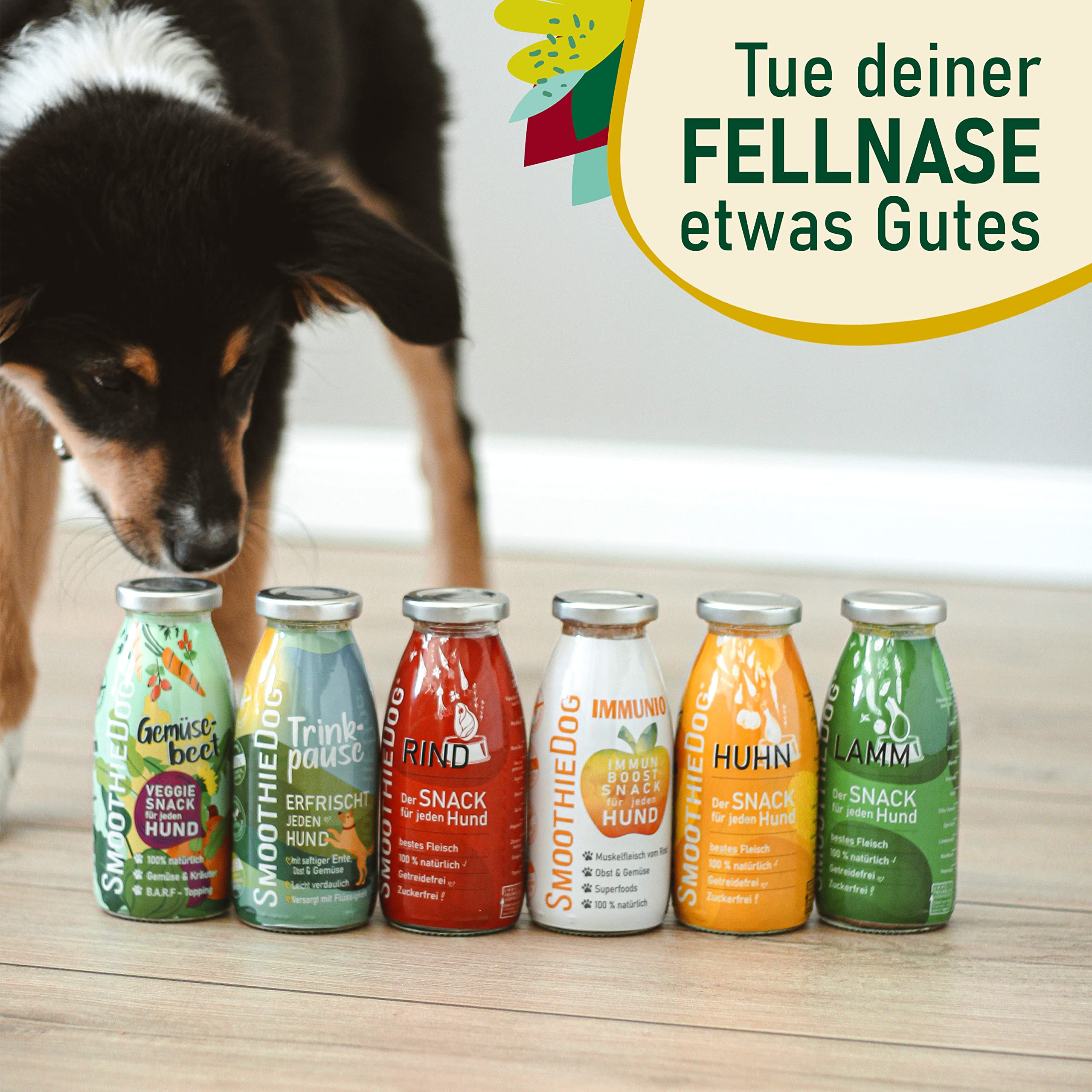 Hunde Smoothie SmoothieDog 6er Mix - je 1x: Huhn, Rind, Lamm, Trinkpause (Ente), Immunio (Rind), Gemüsebeet (vegetarisch) - Flüssiges Hundeleckerli - Zucker- & glutenfrei - je 250ml