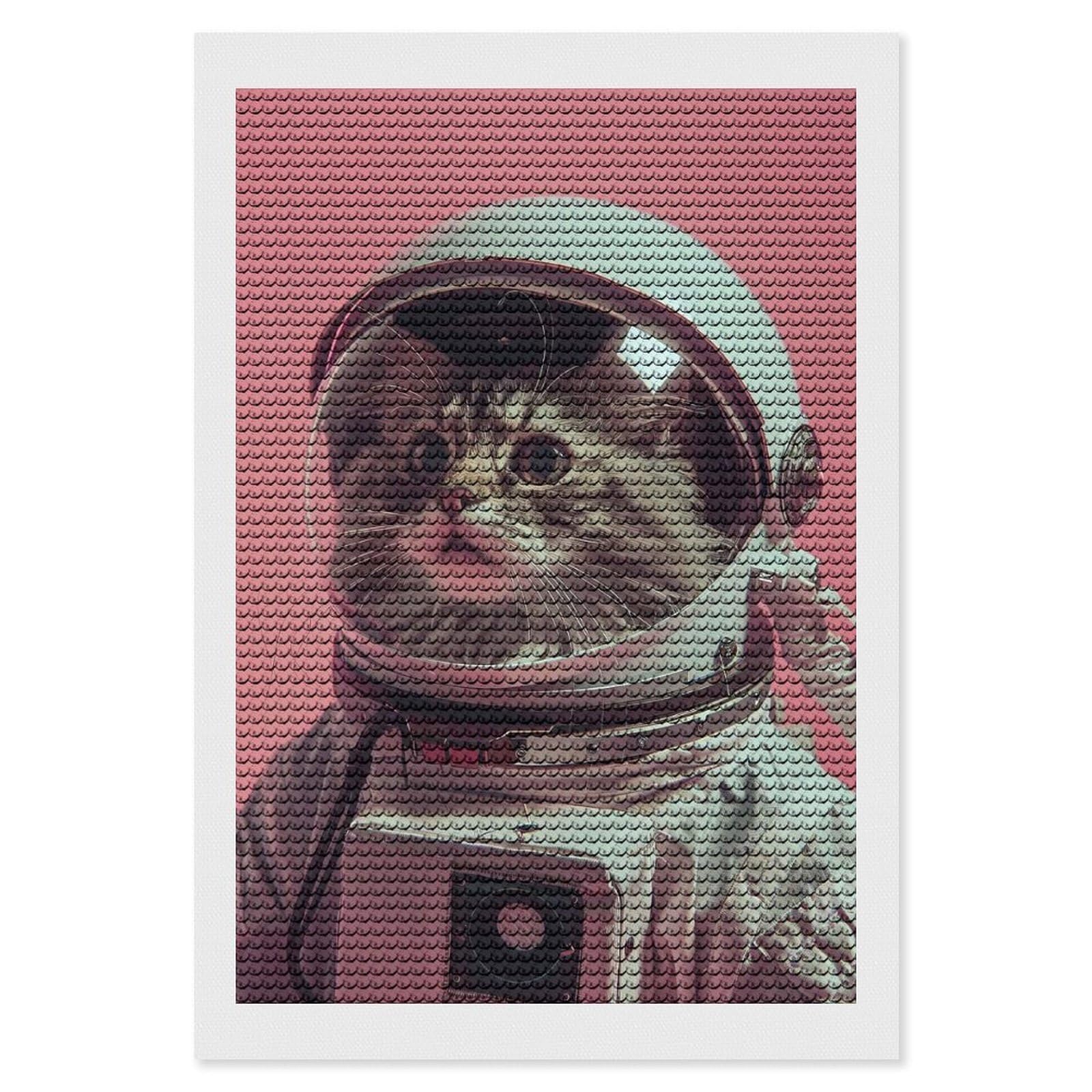 Junmoney Maine Coon Astronaut Diamond Painting Canvas Set 8"x12", Easy to Enjoy, Adhesive Canvas, Office Decor, Holiday Gift Idea, with Tool Kit