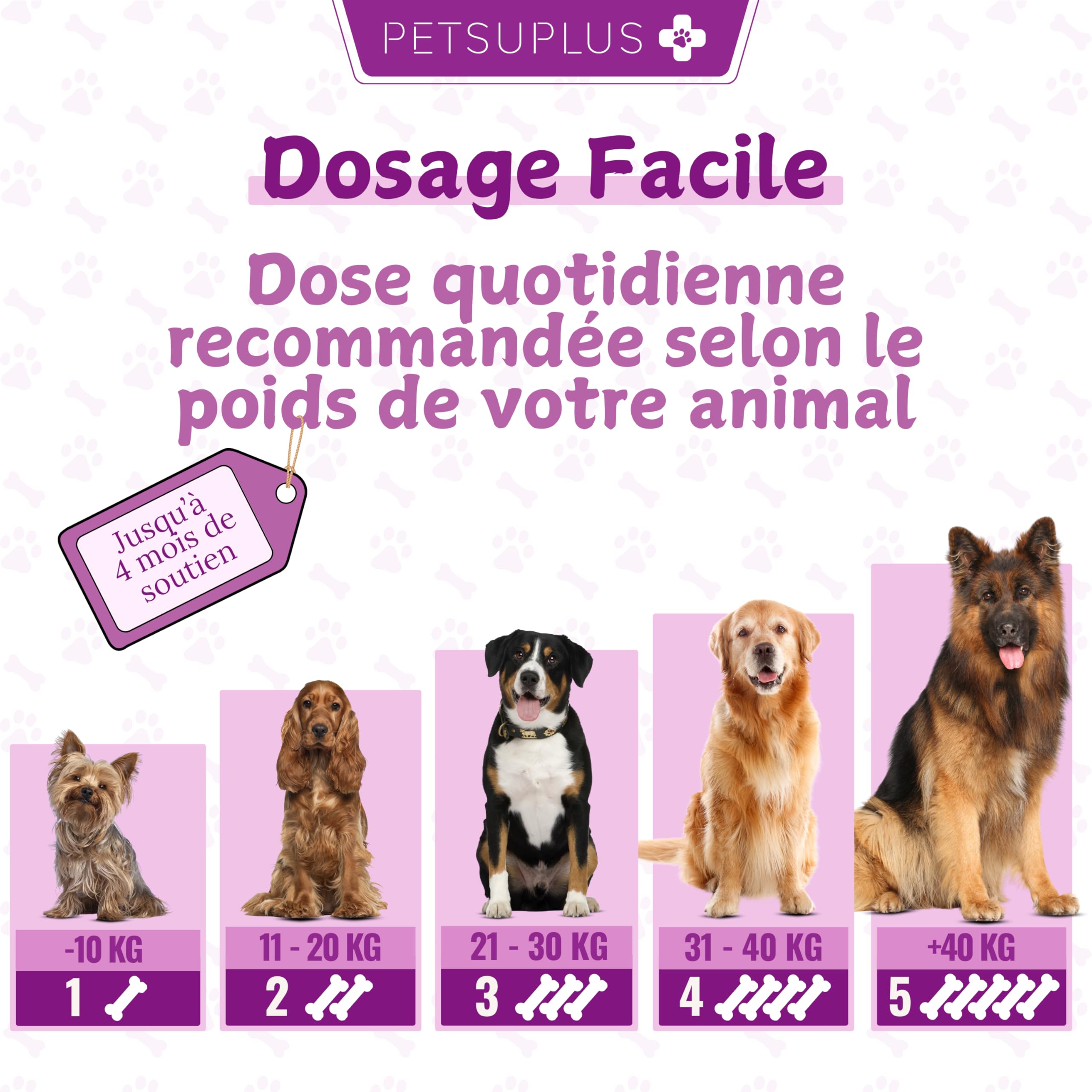 Probiotique Chien - Complement Alimentaire Chien pour la Digestion - Probiotiques Santé Flore Intestinale et Système Immunitaire - Anti Diarrhée, Gaz et Vomissements - 120 Comprimés