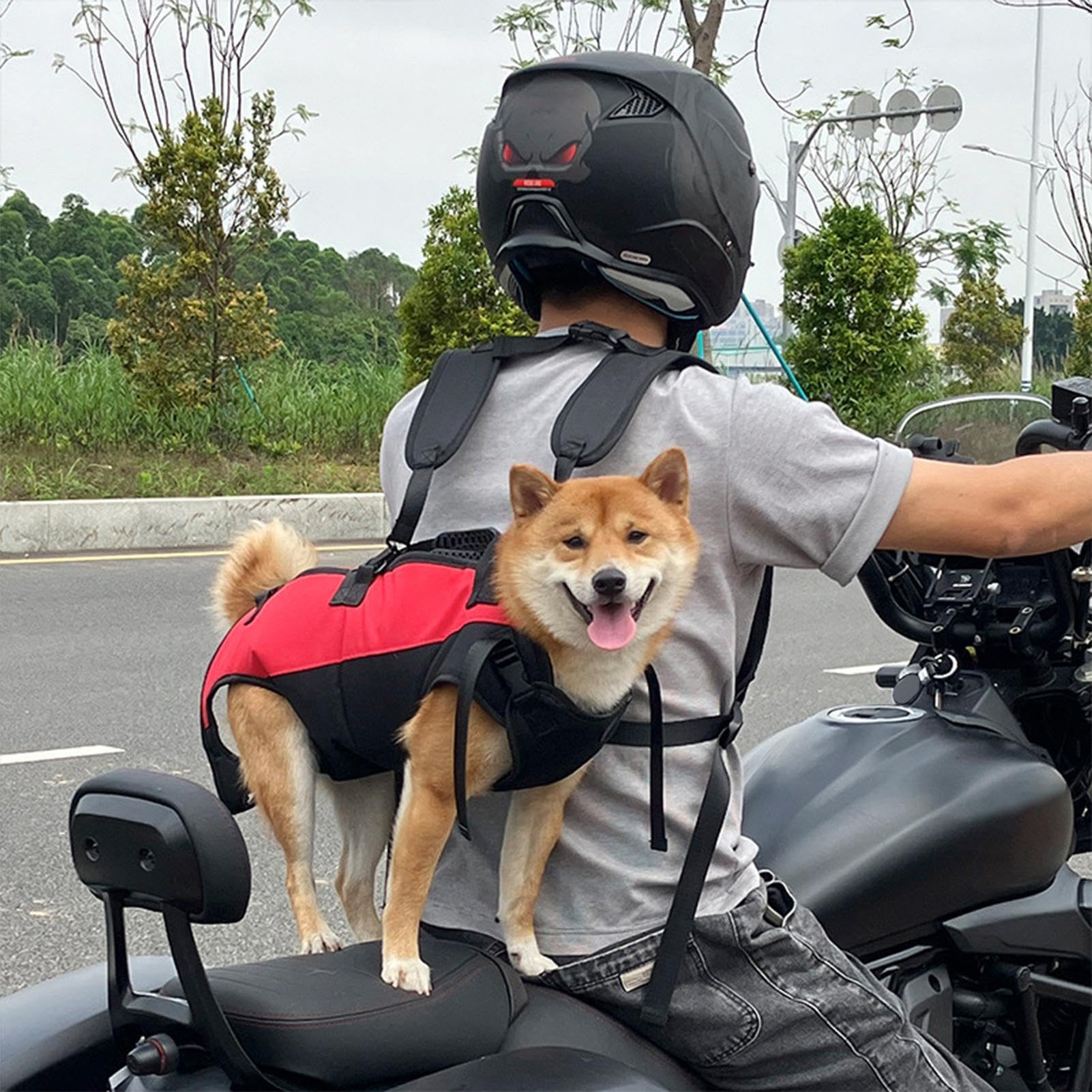 Amazon | ドッグリフターシニア |犬用キャリースリング |犬用スリング