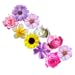 Fun flowers puzzle premium