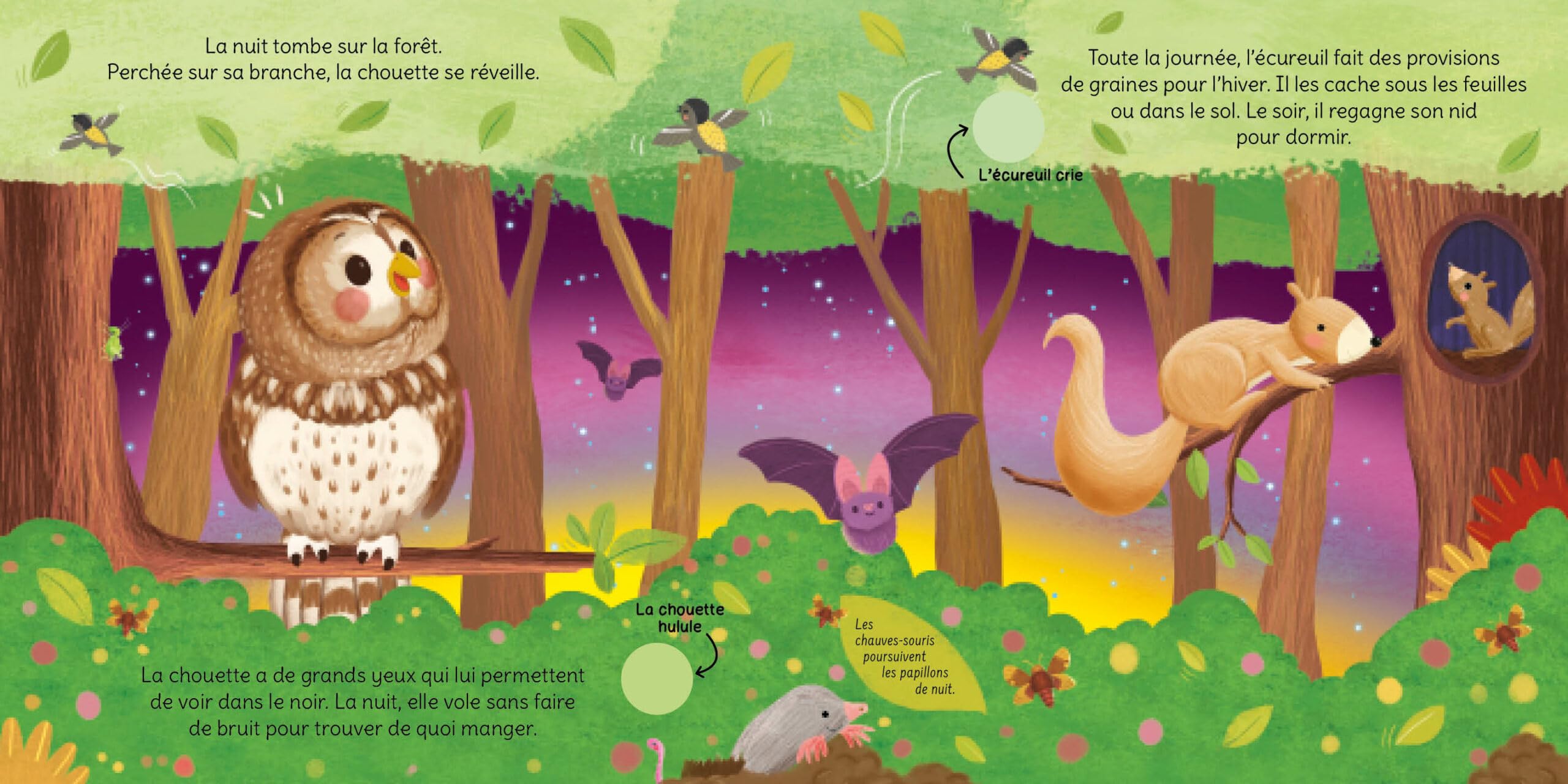 Ecoute la nature Harkness, Rose; Boh�rquez, Gisela and Atelier Cloro - PT03