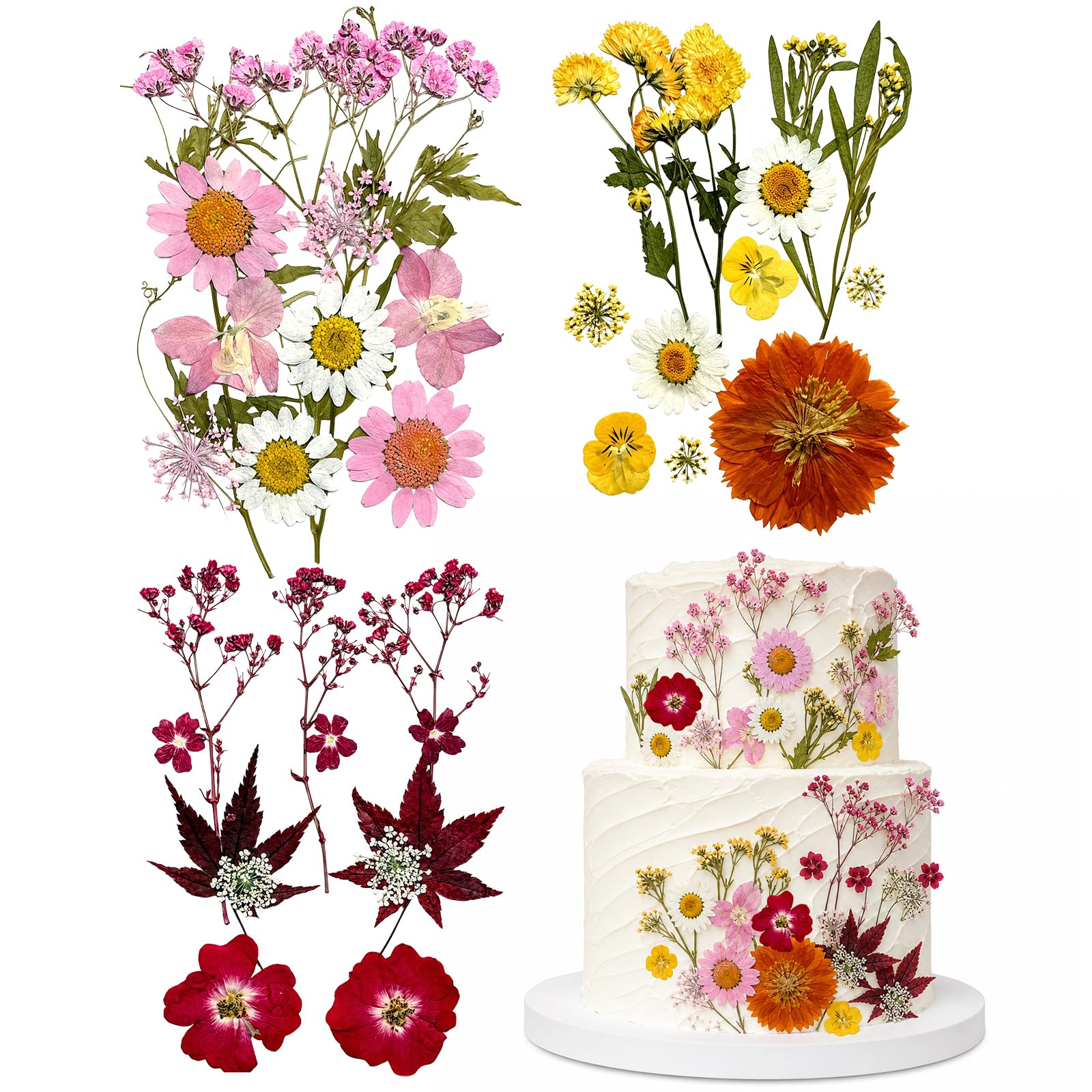 MYHOGOOD 36Pcs Wildflower Cake Toppers, Wildflower Theme Decor Pressed Flowers, Floral Cake Decoration for Women Wedding Baby Shower Birthday Baptism Party DIY Crafts (Color)