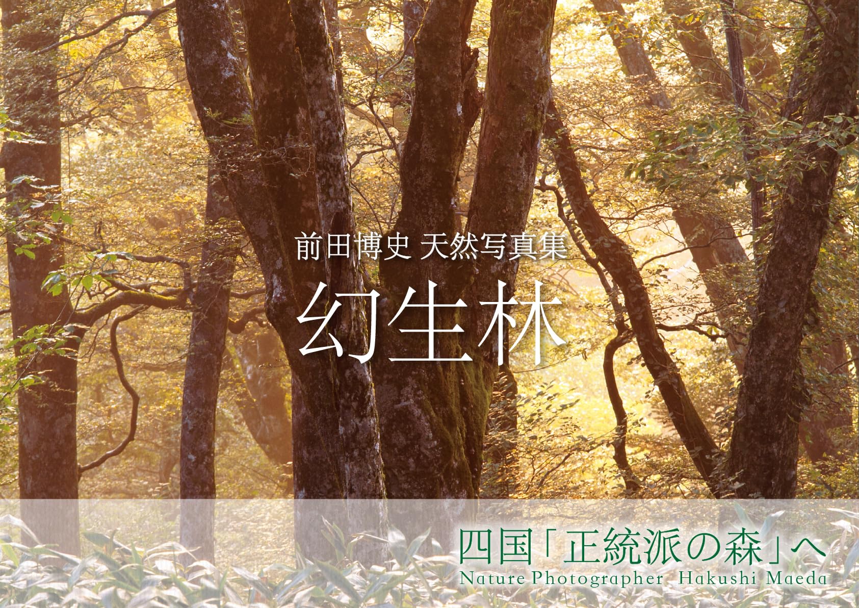 前田博史 天然写真集 幻生林 四国「正統派の森」へ | 前田 博史 |本