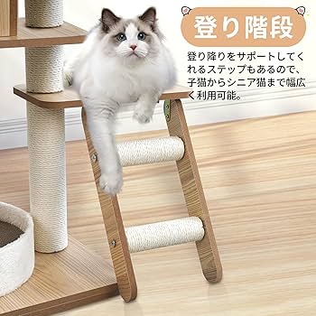 Amazon | キャットタワー 6階建てのタワー 透明のスペース