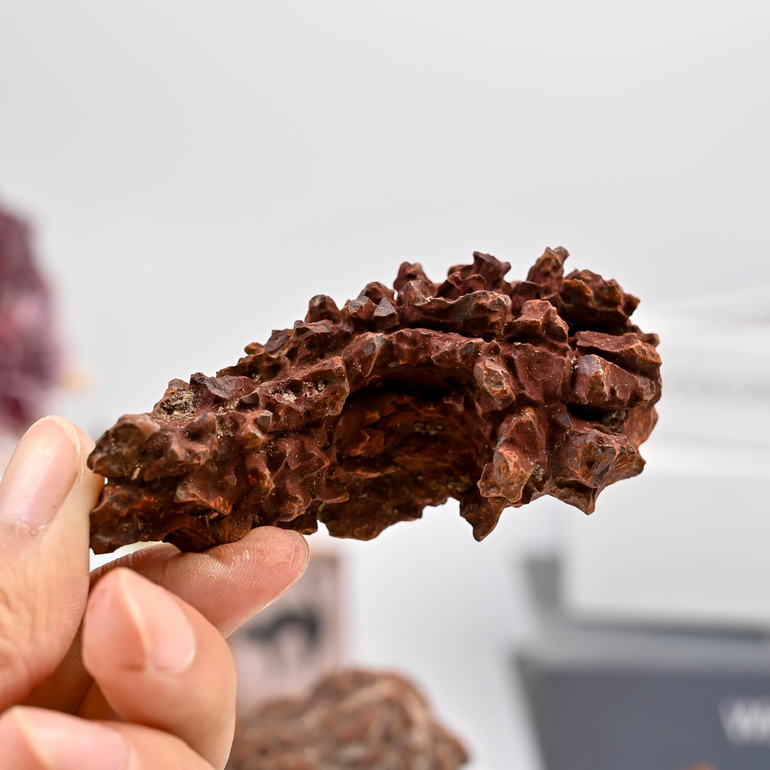 2-4oz Dinosaur Feces (Will Fade Slightly)