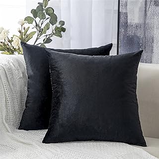 Topfinel Housse de Coussins 60x60cm en Velours Doux 2pcs pour Salon Chambre Housse Coussin Carré de Motif Noir Uni Décoration Canapé Moderne