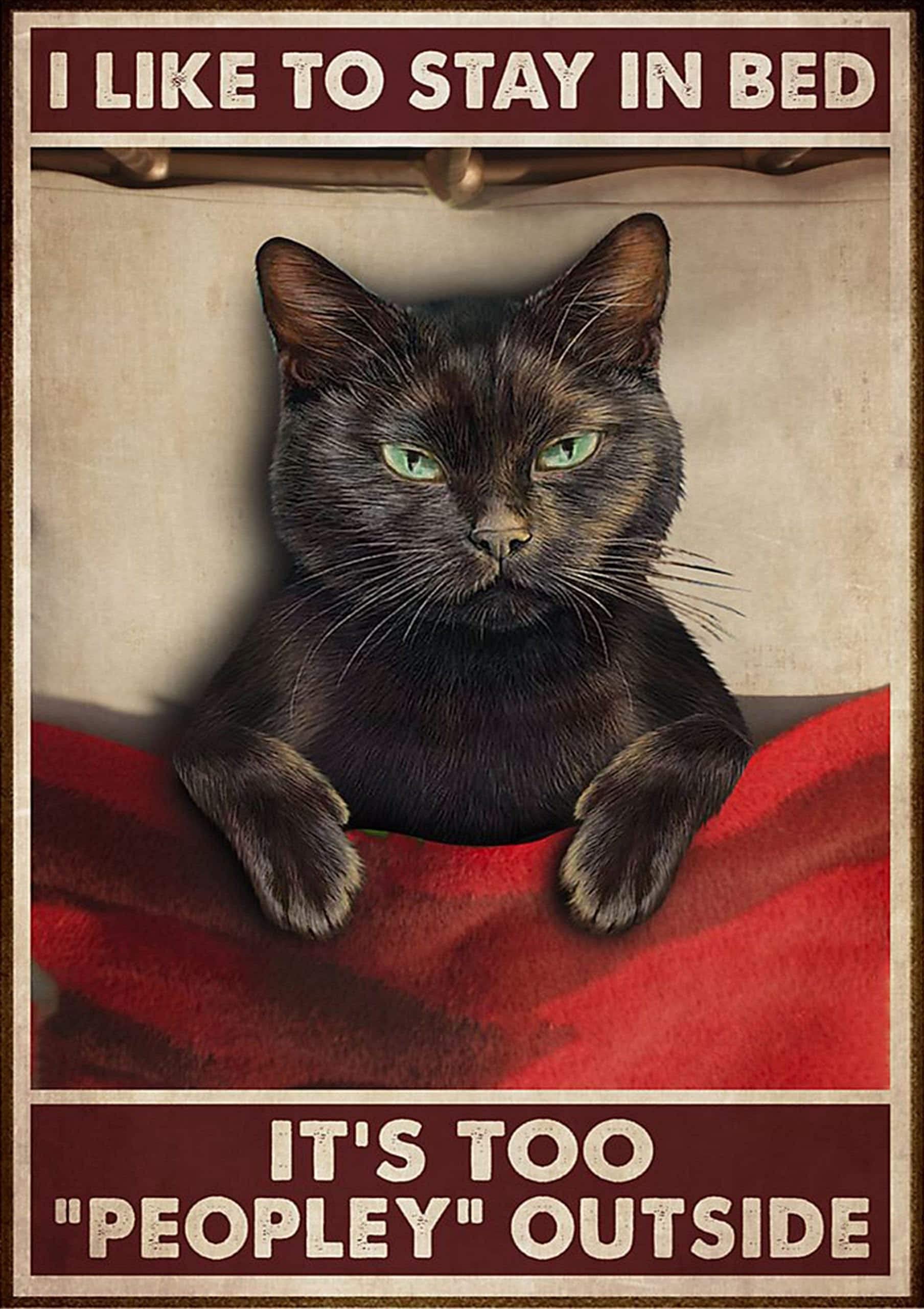 Dreacoss cat i like to stay in bed its too peopley outside poster poster Retro Tin Sign Metal Sign Vintage Plaque Metal Tin Sign Wall Decor for Home Kitchen Garage Bar Pub Gift, 8x12inch