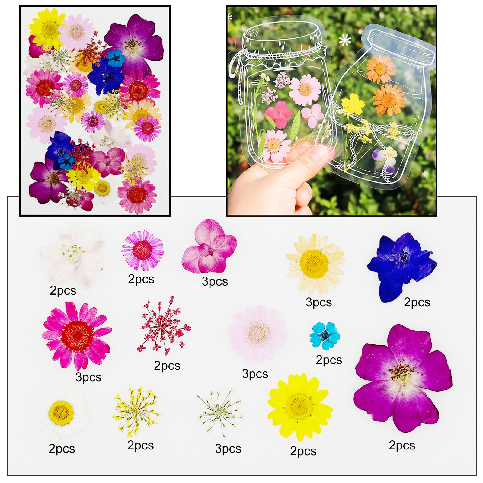 170 Fiori Secchi Pressati Naturali Cayway - Per Resina, Scrapbooking E Gioielli