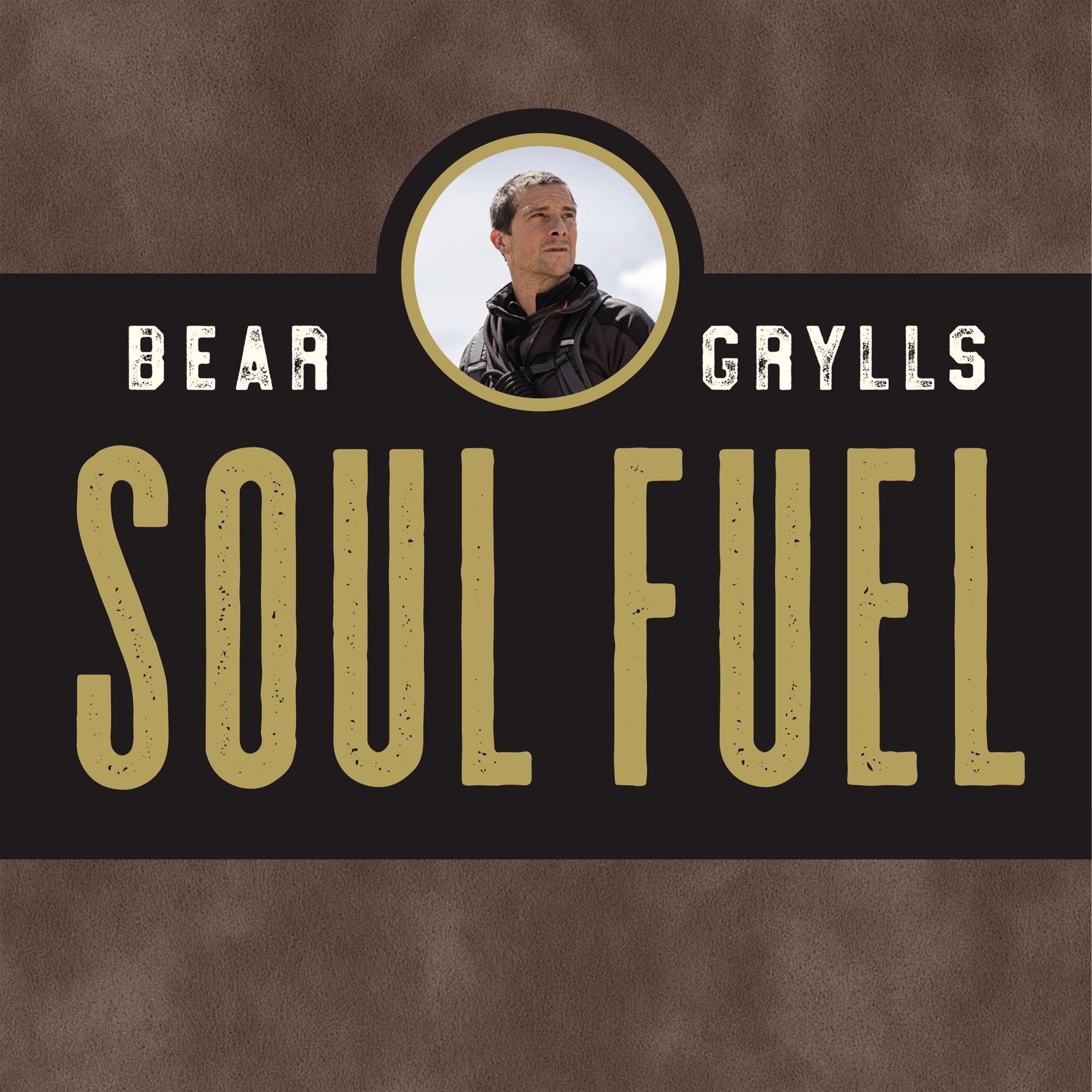 Cover art for Soul Fuel