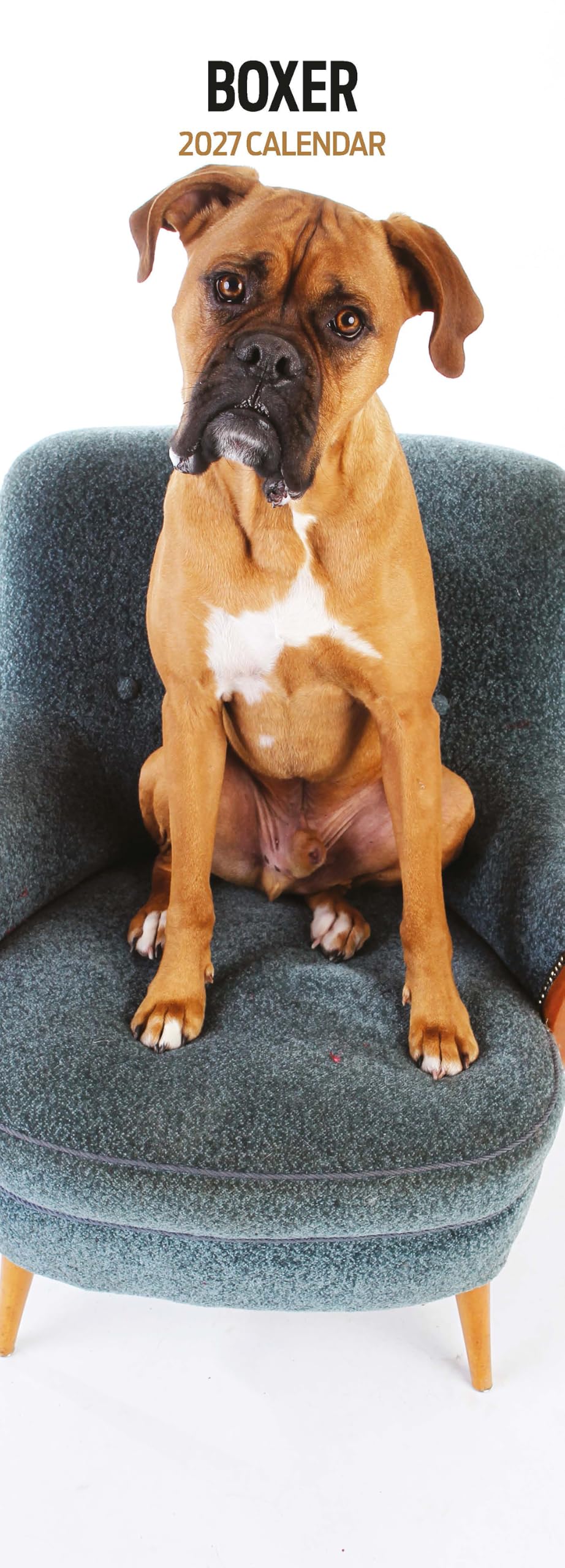 Boxer 2027 Slim Calendar