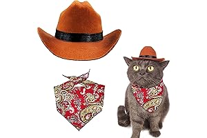 Mexican Cat Costume