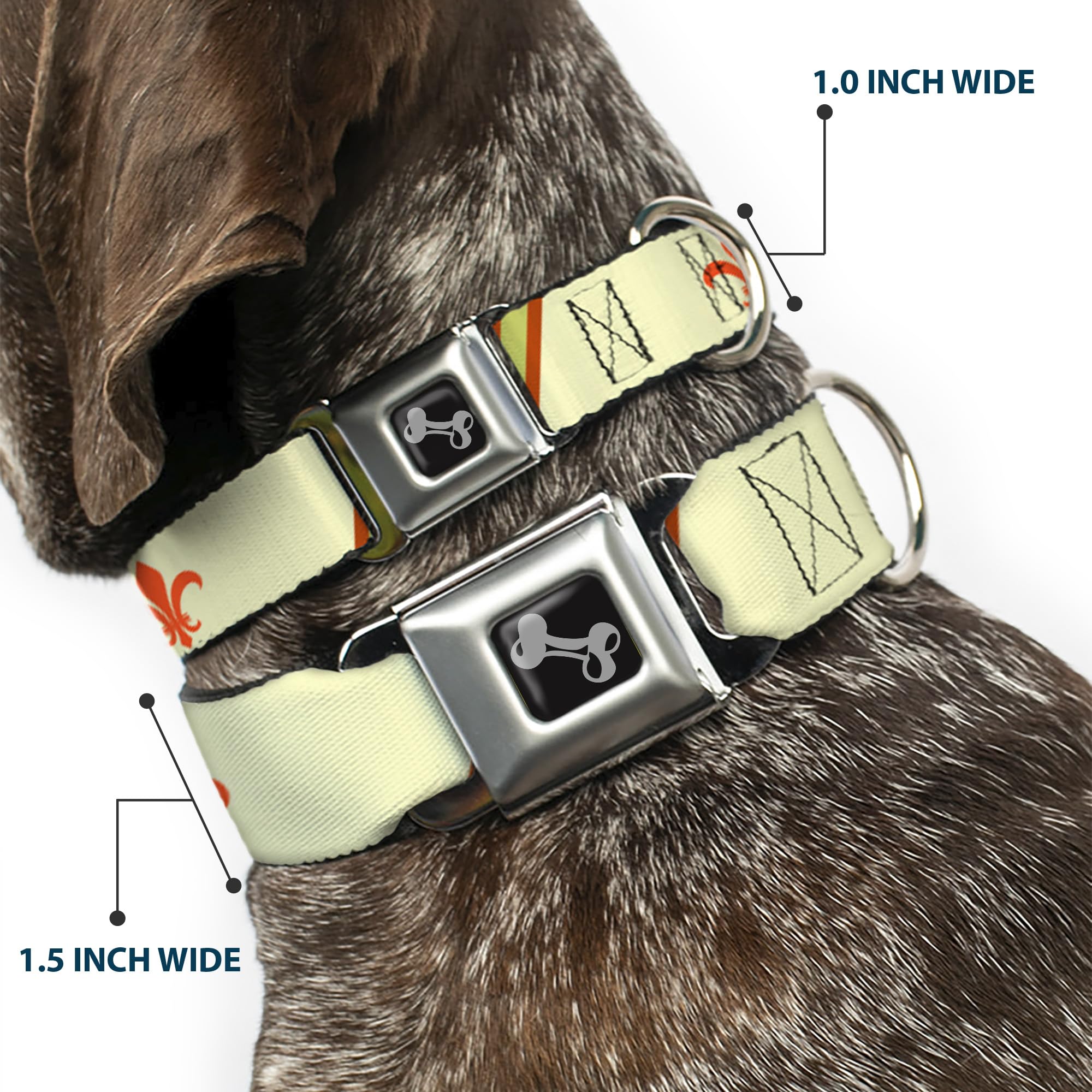 Buckle-Down DC-W30635-WL - Cinturón de Seguridad para Perro, Talla L, diseño de Rayas, Color marrón, Naranja y Verde