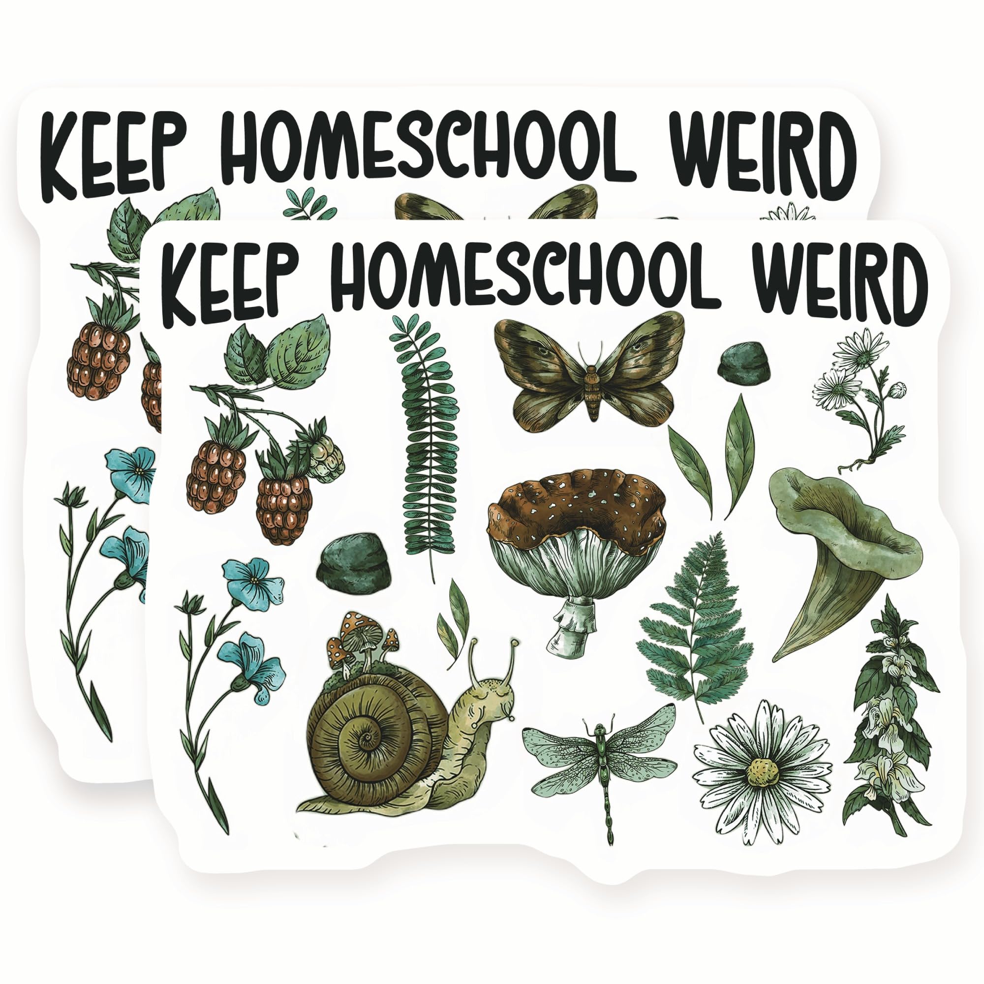 Pegatinas Keep Homeschool Weird de caracol hongo de 5 pulgadas en pack de 2