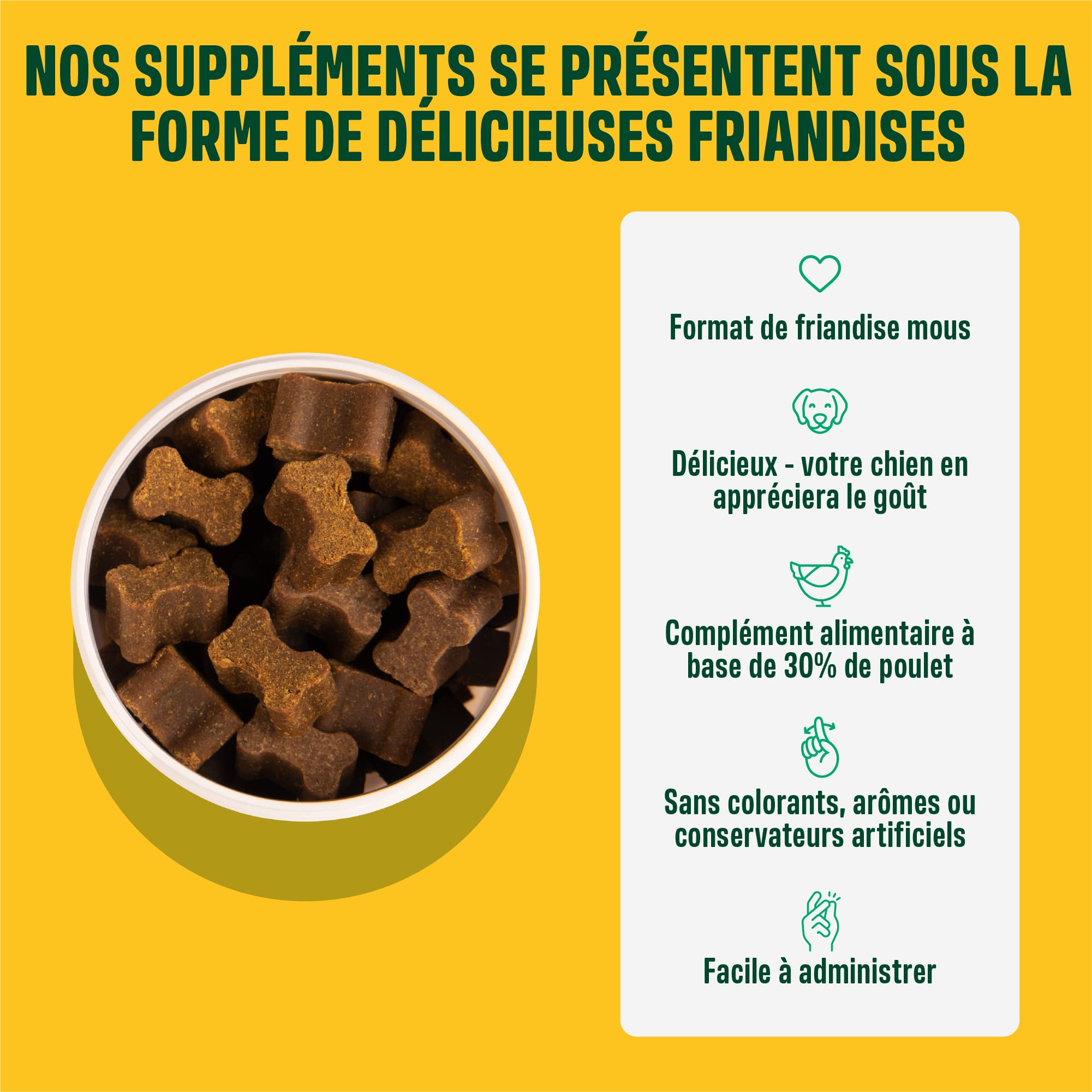ivvi Probiotic pour Chien - Complément Alimentaire pour Bien-Être Digestif | Probiotiques, Citrouille, Avoine, Graines de Lin et de Courge, 60 Délicieuses Friandises au Poulet, 270g