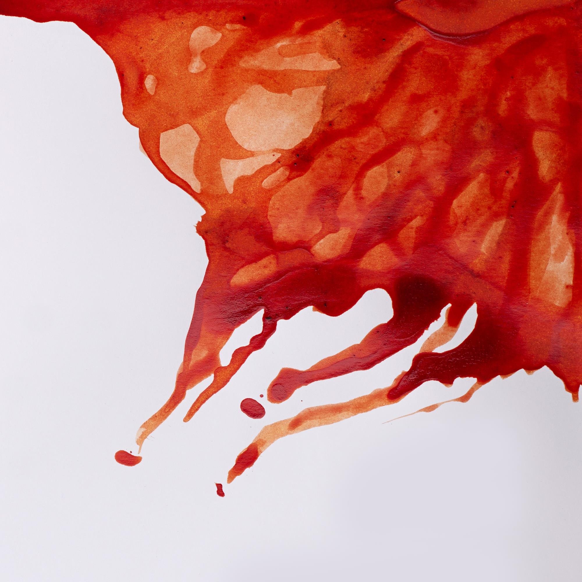 Winsor & Newton Drawing Ink - Burnt Sienna -2