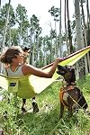 ENO SingleNest Hammock - Lightweight, 1 Person Portable Hammock - for Camping, Hiking, Backpacking, Travel, a Festival, or The Beach - Navy/Royal
