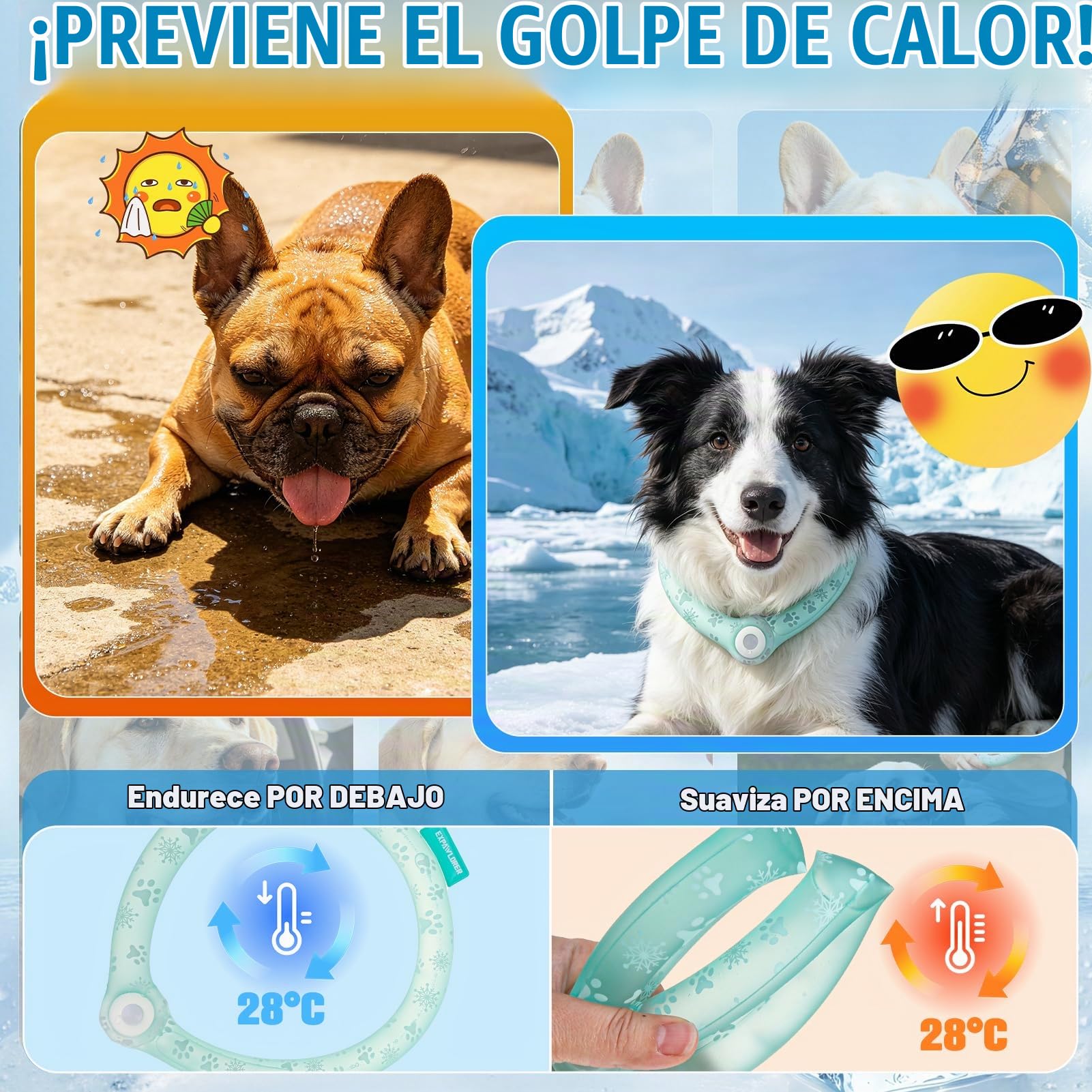 EXPAWLORER Bandana refrescante para perros - Collar de enfriamiento instantáneo PCM para perros, pañuelo fresco de verano para perros pequeños, medianos y grandes, verde, talla M