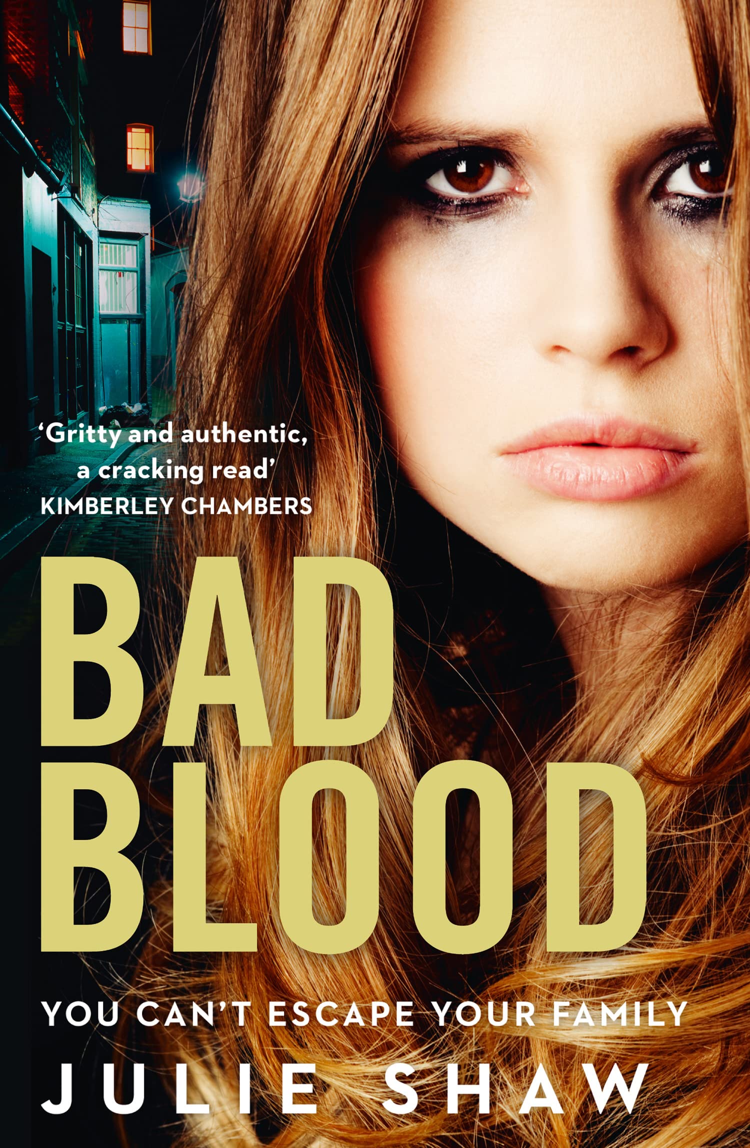 Bad Blood (Tales of the Notorious Hudson Family, Book 5)-Julie Shaw