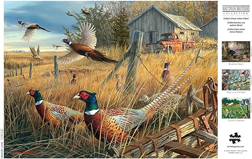 Miniatura 5 de Buffalo Games - Hautman Brothers - Memory Lane - Rompecabezas de 1000 piezas para adultos, rompecabezas desafiante perfecto para noches de juego -